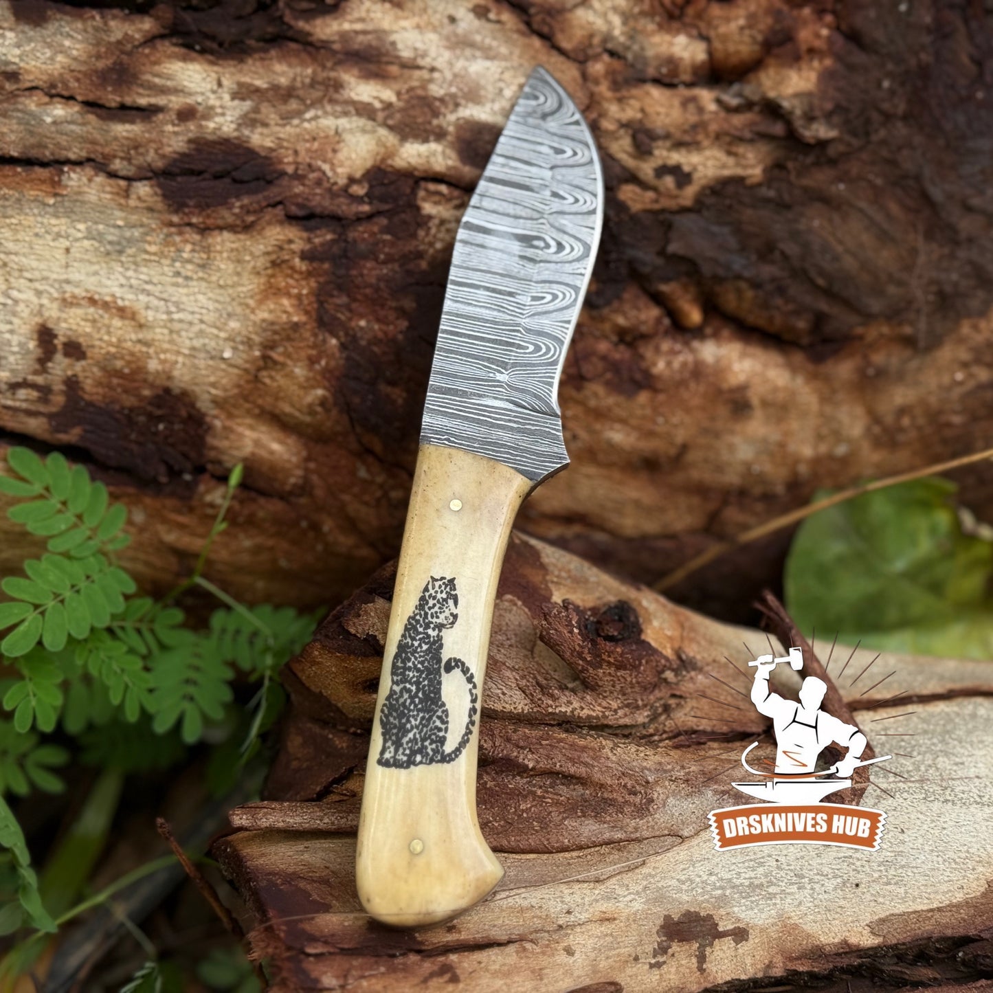 Full Tang Hand Forged Damascus Hunting Skinner Knife Bone Handle with Wolf Print | DRSKNIVES HUB