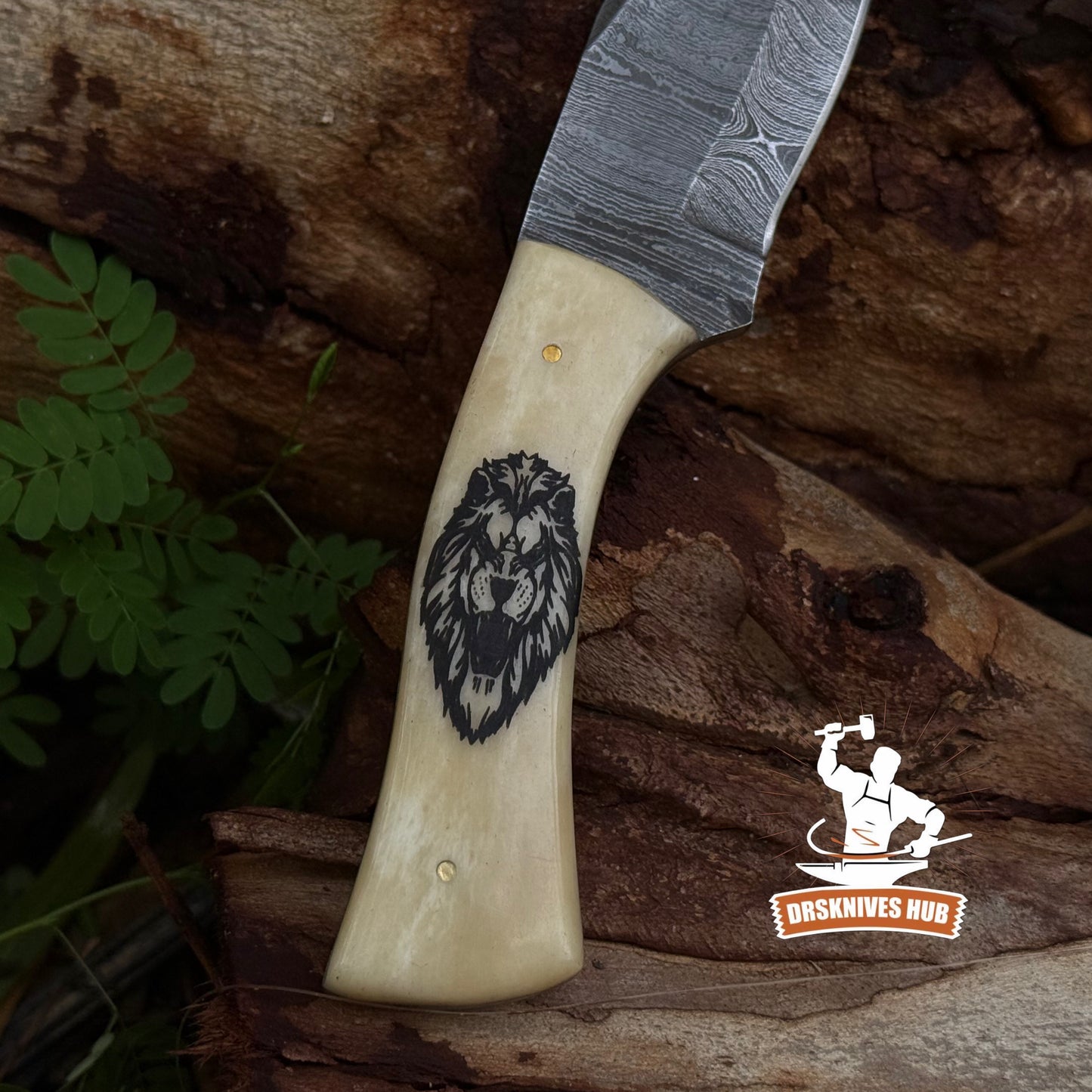 Beautiful Handmade Damascus Hunting Skinner Knife Bone Handle with Lion Print | DRSKNIVES HUB