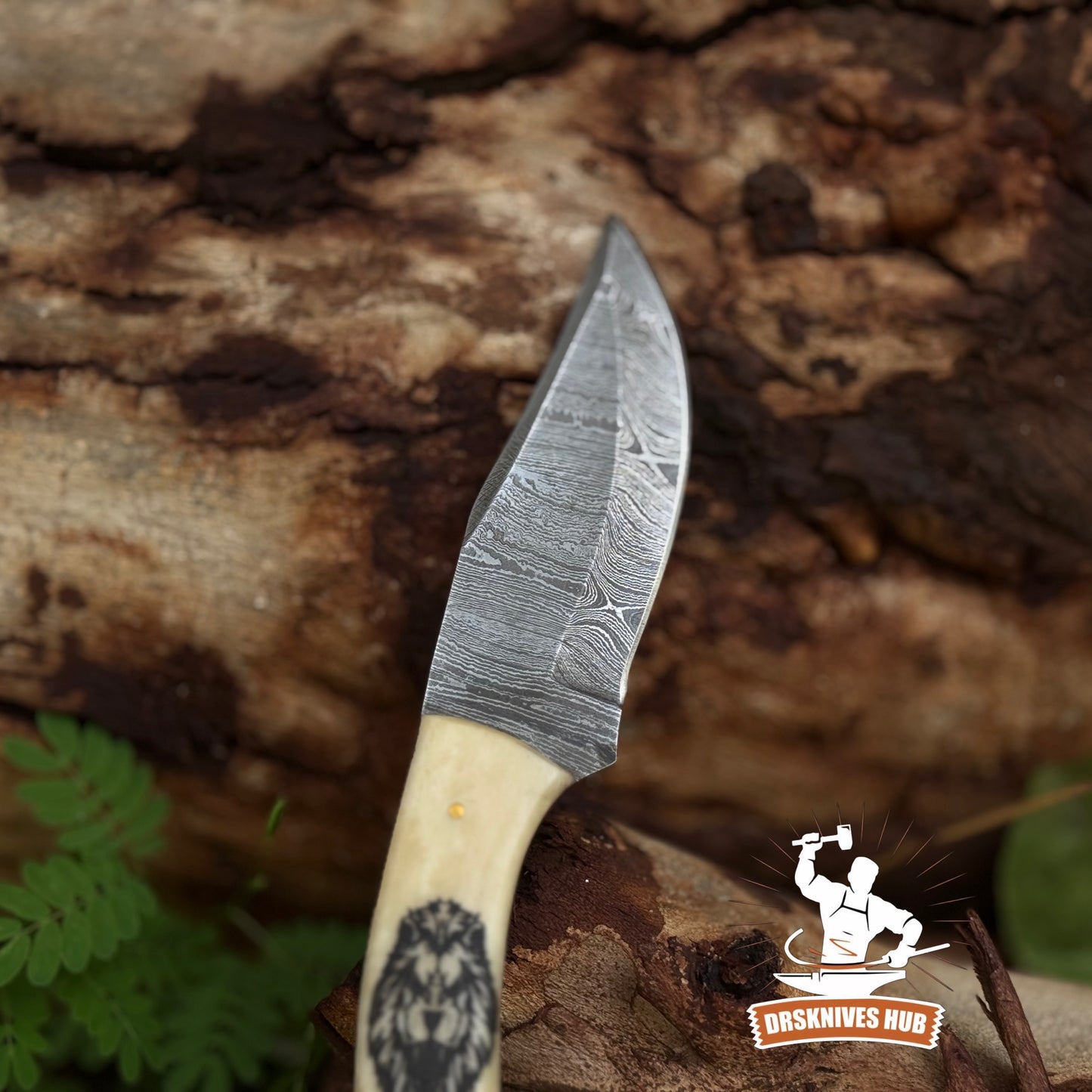 Beautiful Handmade Damascus Hunting Skinner Knife Bone Handle with Lion Print | DRSKNIVES HUB