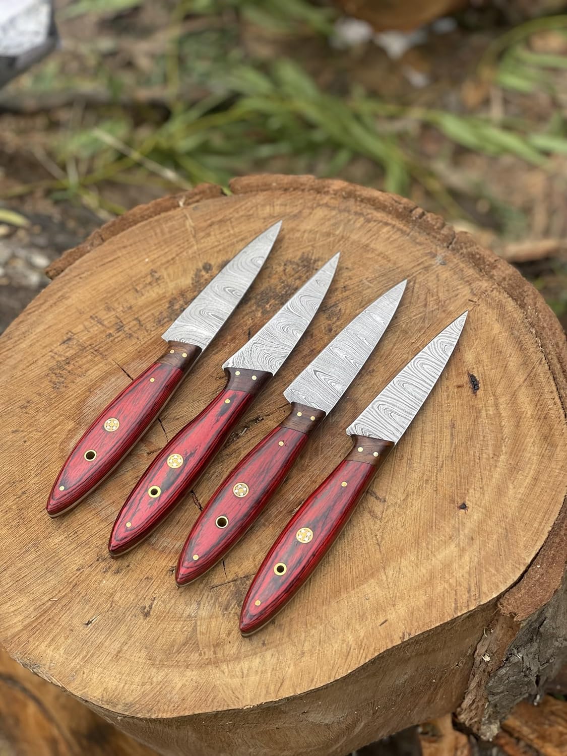 Set Of 4 Pieces Handmade Damascus steel Steak Knives With Leather Bag Overall 9''