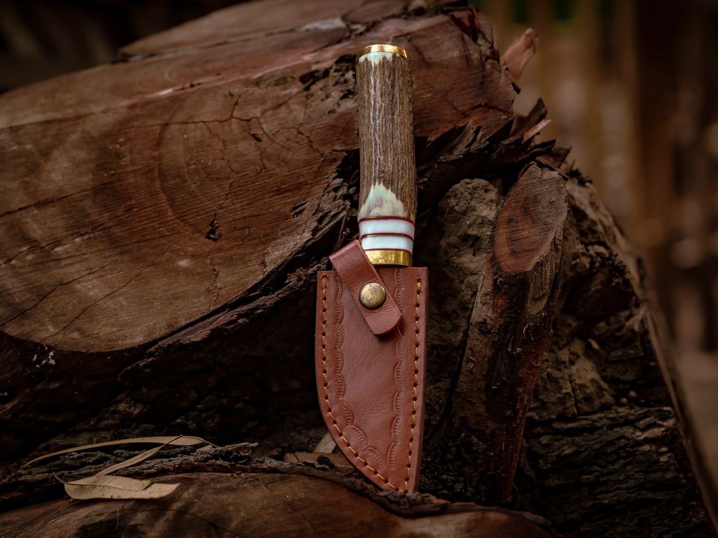 Full tang Damascus Steel Hooked Camping Knife with Stag Horn Handle