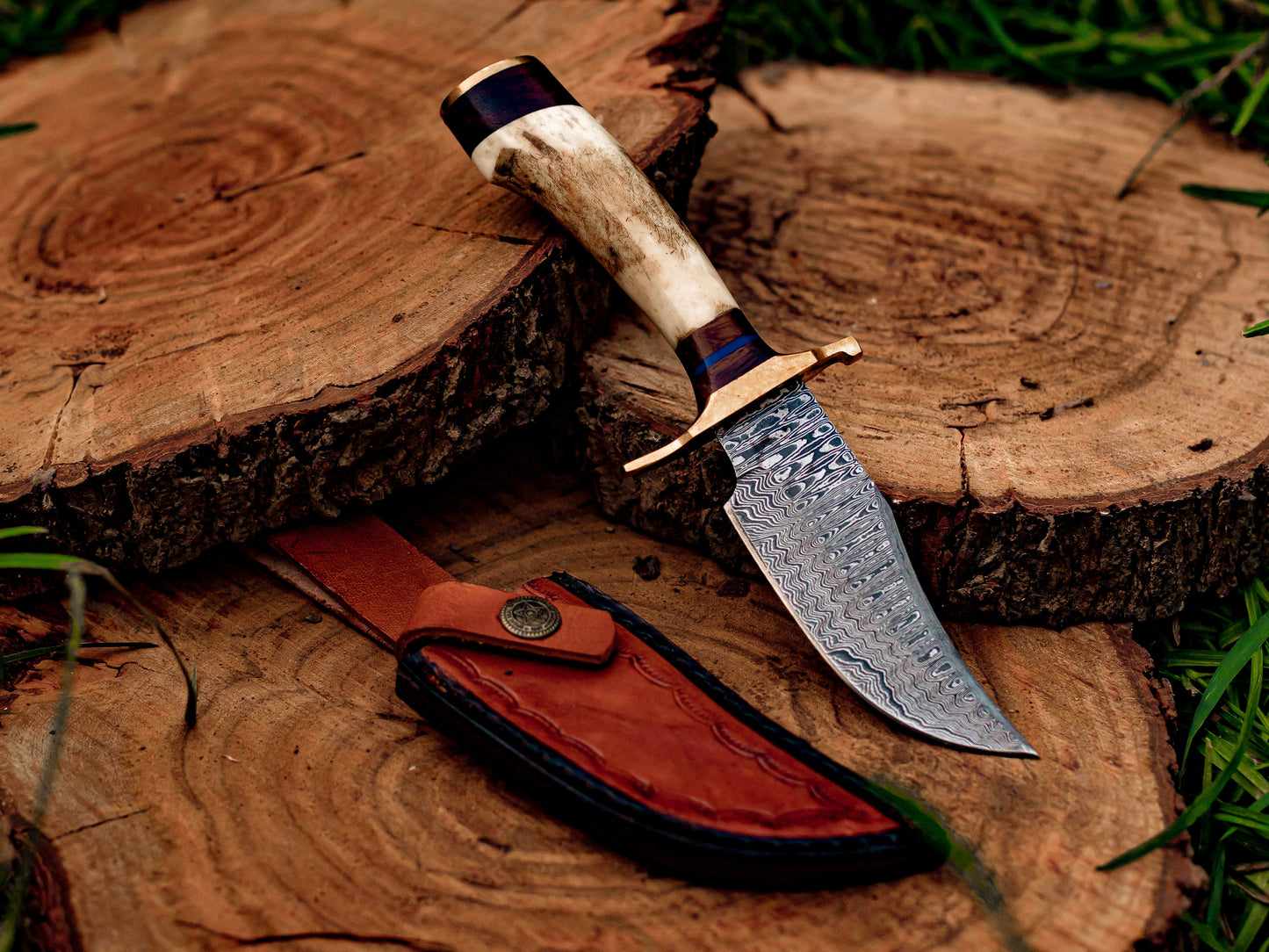 Damascus Steel Knife with Stag & Brass Guard Handle & Leather Sheath Cover