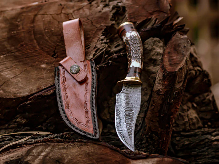Stag Horn Handle Hand-Forged Damascus Steel Knife with Brass Guard Handle