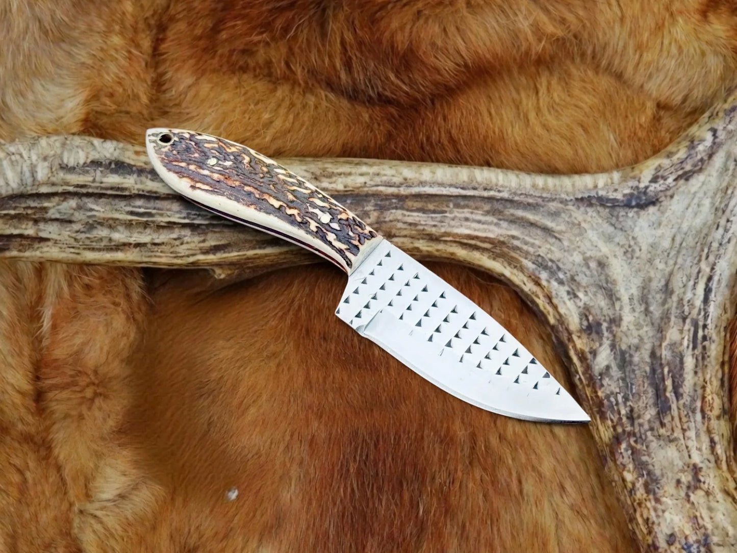 drsknives-hub-rasp-steel-antler-knife-1 - DRSKNIVES HUB