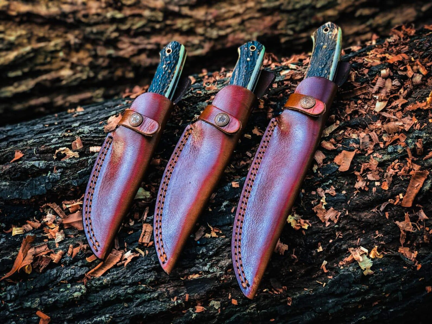 Stag Handle Fixed Blade Knives – Bob Loveless Style Stainless Steel Blades with Handmade Leather Sheaths