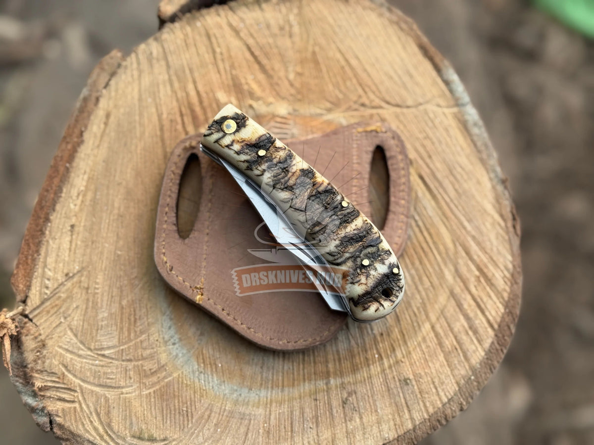 Ram horn handle folding pocket knife with two blades