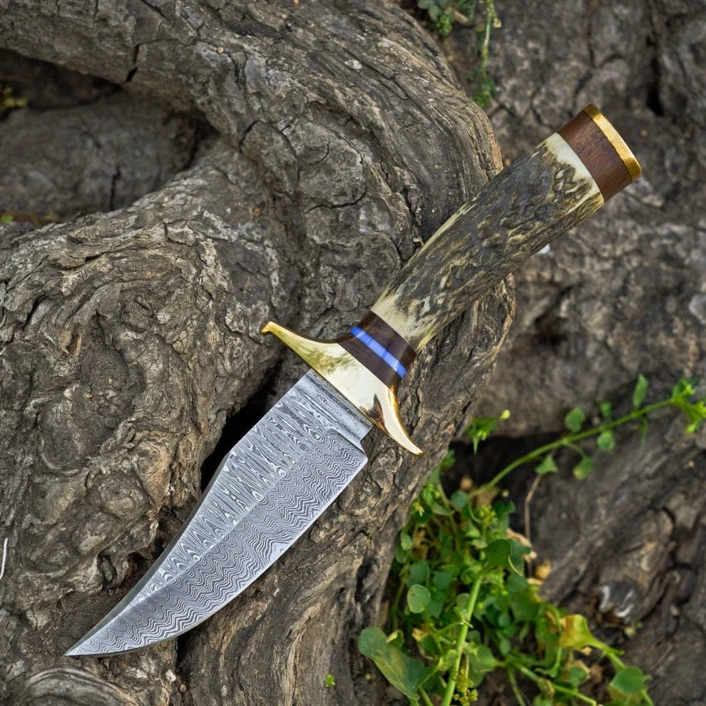 Hand-Forged Damascus Steel Hunting , Bowie Knife – Stag Handle with Brass Guard & Leather Sheath | DRSKNIVES HUB