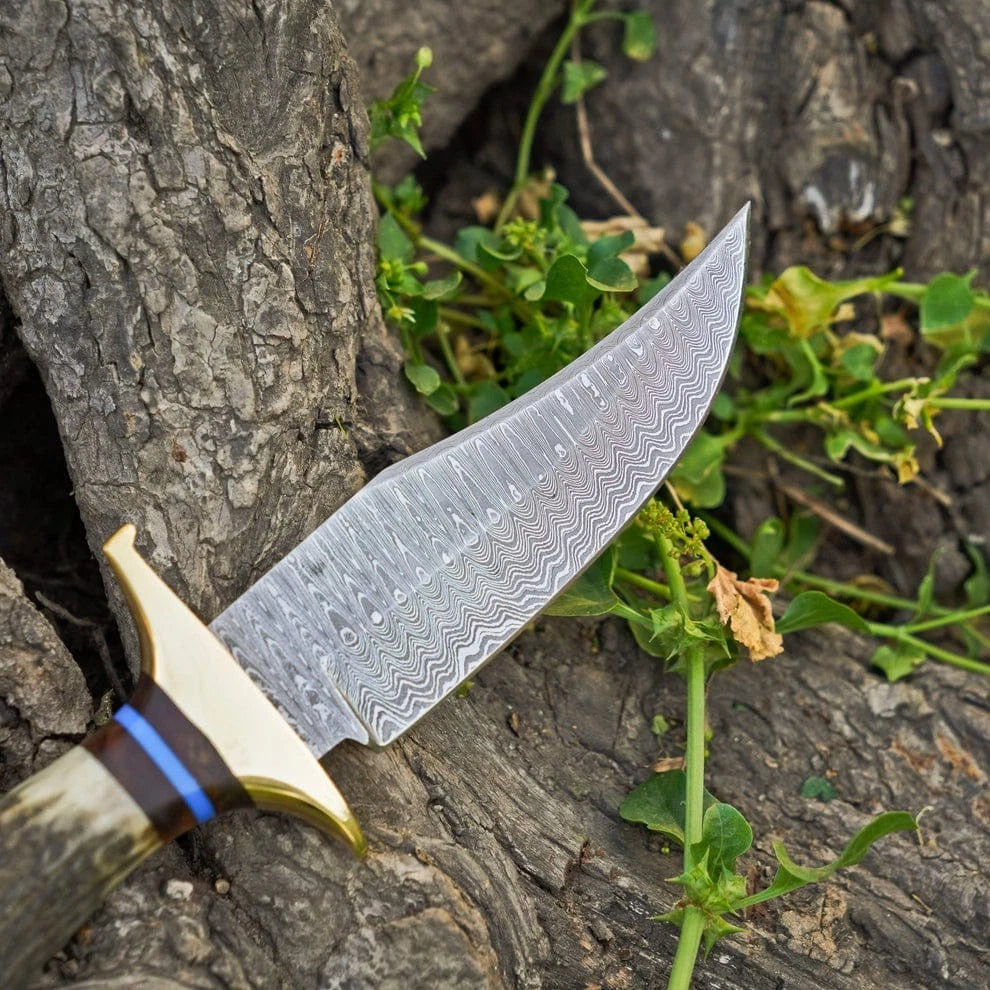 Hand-Forged Damascus Steel Hunting , Bowie Knife – Stag Handle with Brass Guard & Leather Sheath | DRSKNIVES HUB