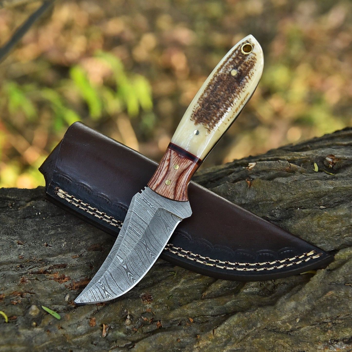 7.3" Custom Hand-Forged Damascus Steel Fixed Blade Skinner Knife with Antler Handle