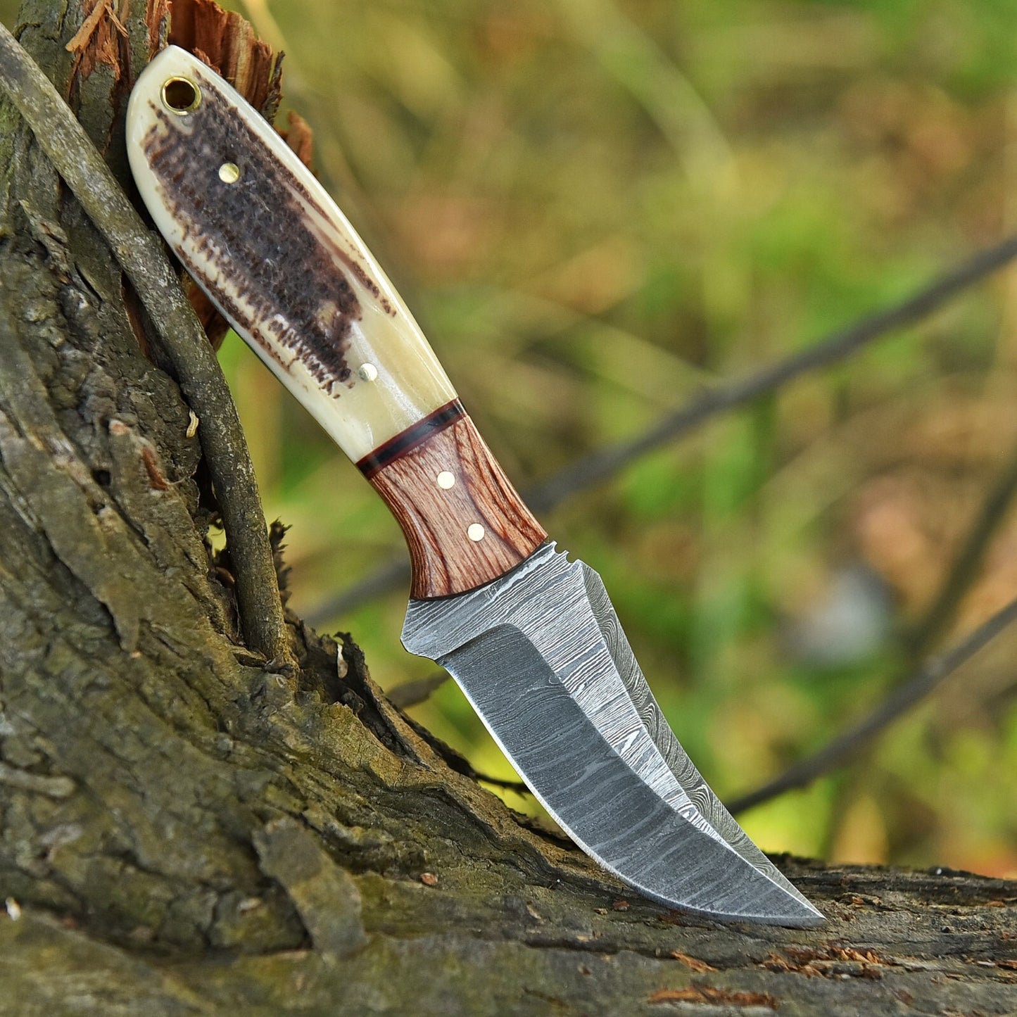 7.3" Custom Hand-Forged Damascus Steel Fixed Blade Skinner Knife with Antler Handle