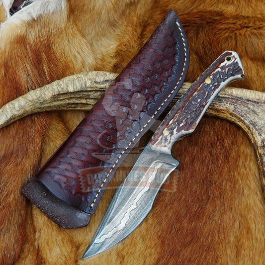 Top 10 Best Hunting Knives for 2026 DRSKNIVES HUB