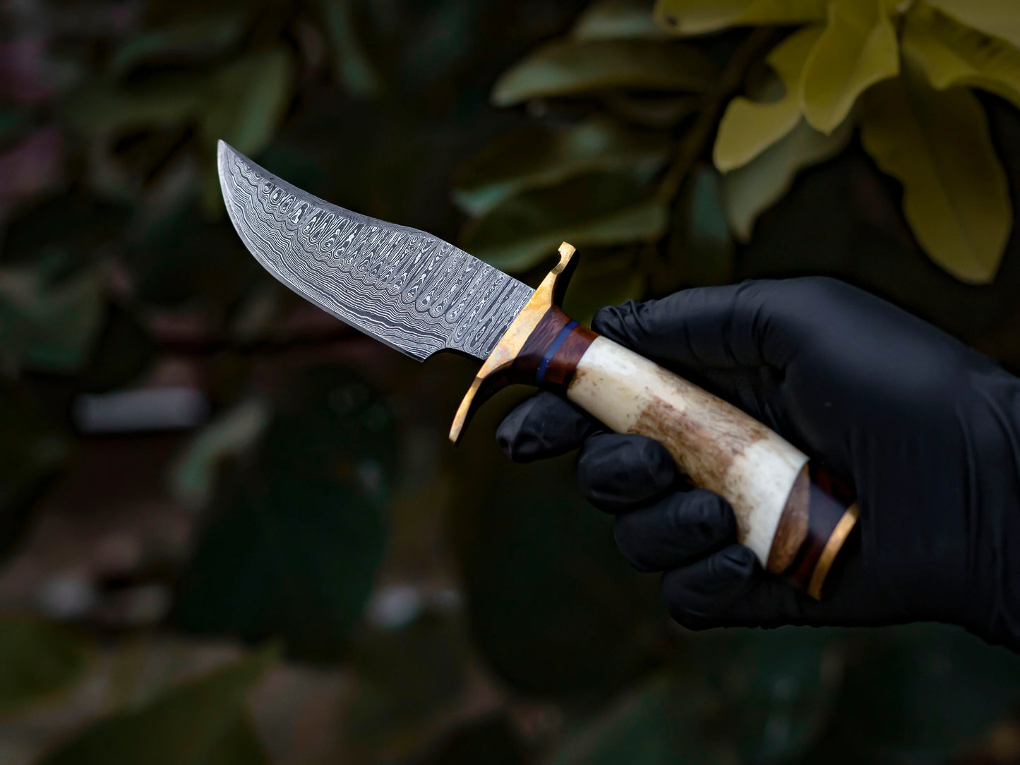 Damascus Steel Knife with Stag & Brass Guard Handle & Leather Sheath Cover