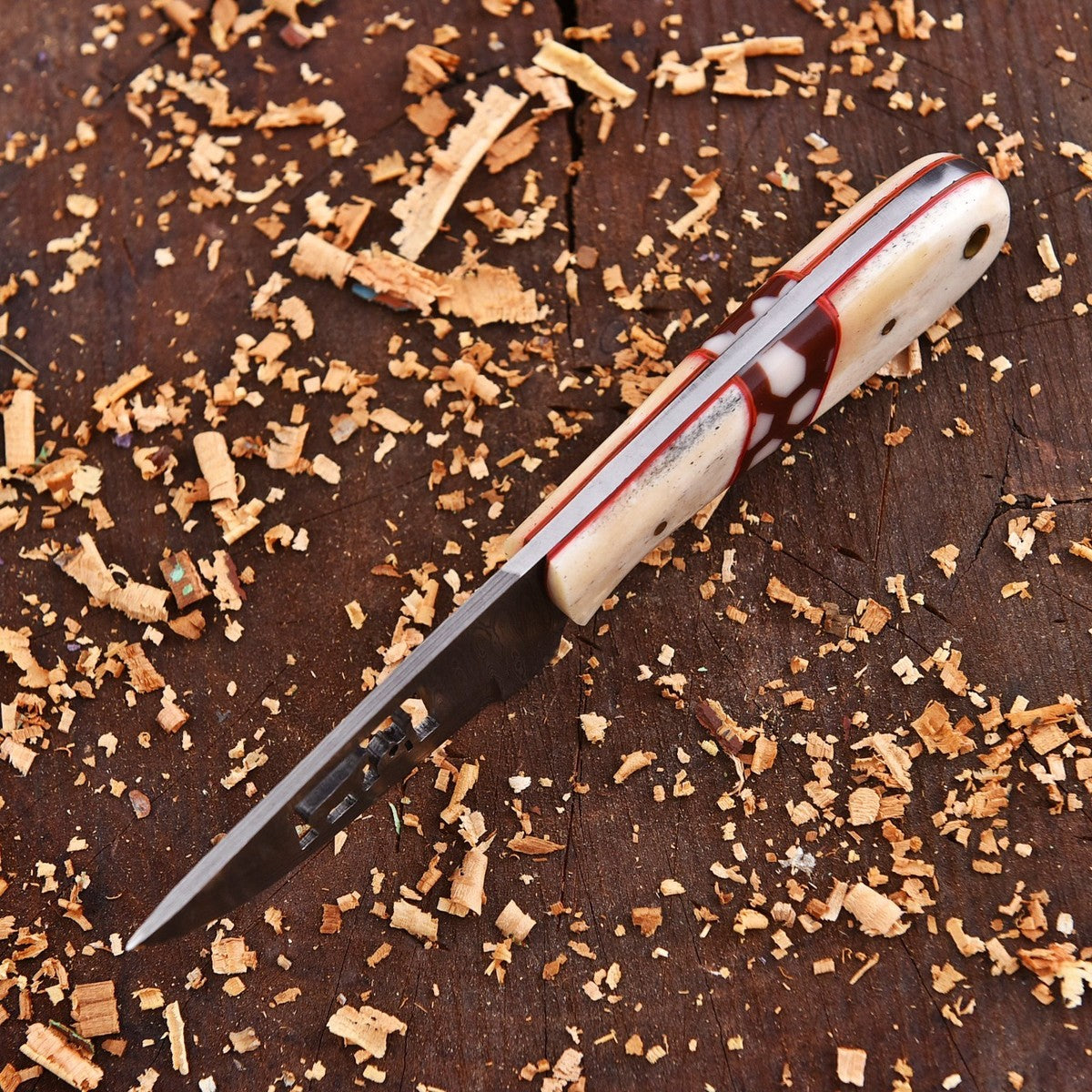 Hand-forged Damascus Steel Wire Cut Bull Cutter knife