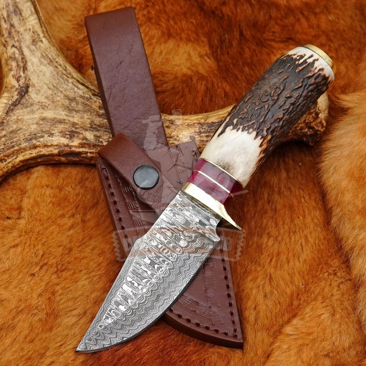 Handmade_Damascus_Steel_Hunting_Knife_10_with_Stag_Handle_Leather_Sheath - DRSKNIVES HUB