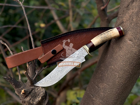 Handmade Damascus Hunting Knife with Stag Antler Handle Custom Bowie Knife | DRSKNIVES HUB 