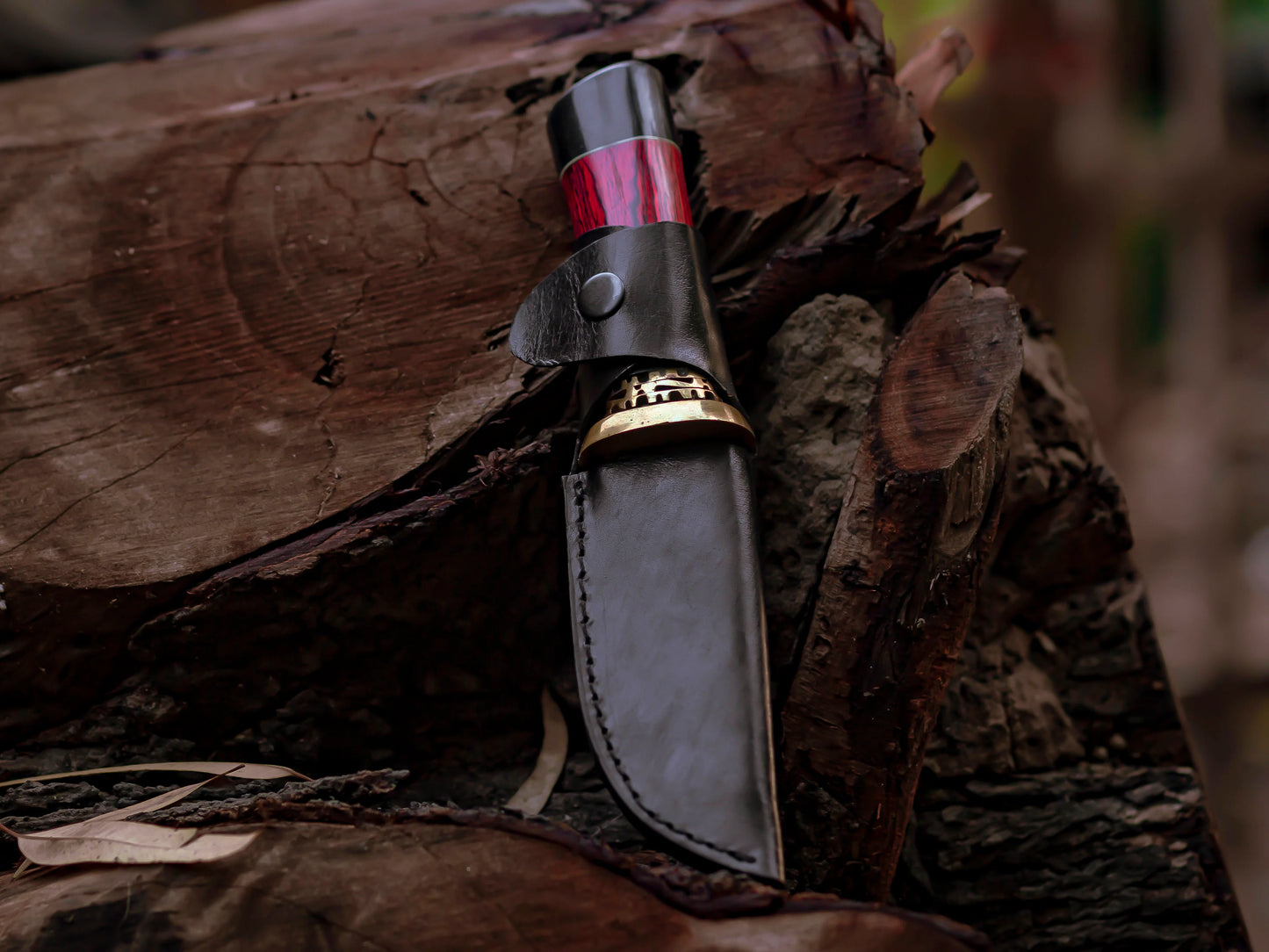 Damascus Steel Fixed Blade Knife with Ebony and Red Wood Handle