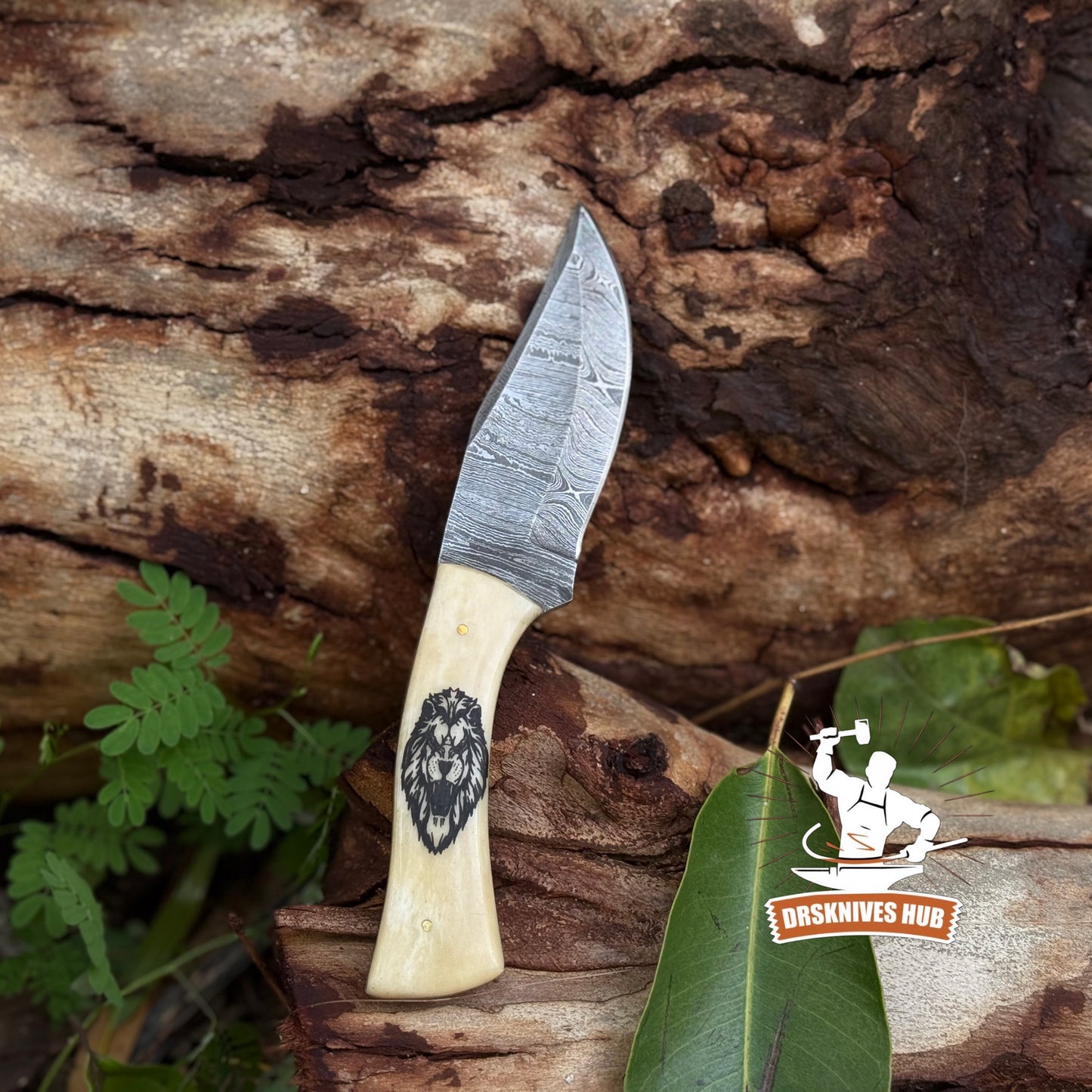Beautiful Handmade Damascus Hunting Skinner Knife Bone Handle with Lion  Print | DRSKNIVES HUB