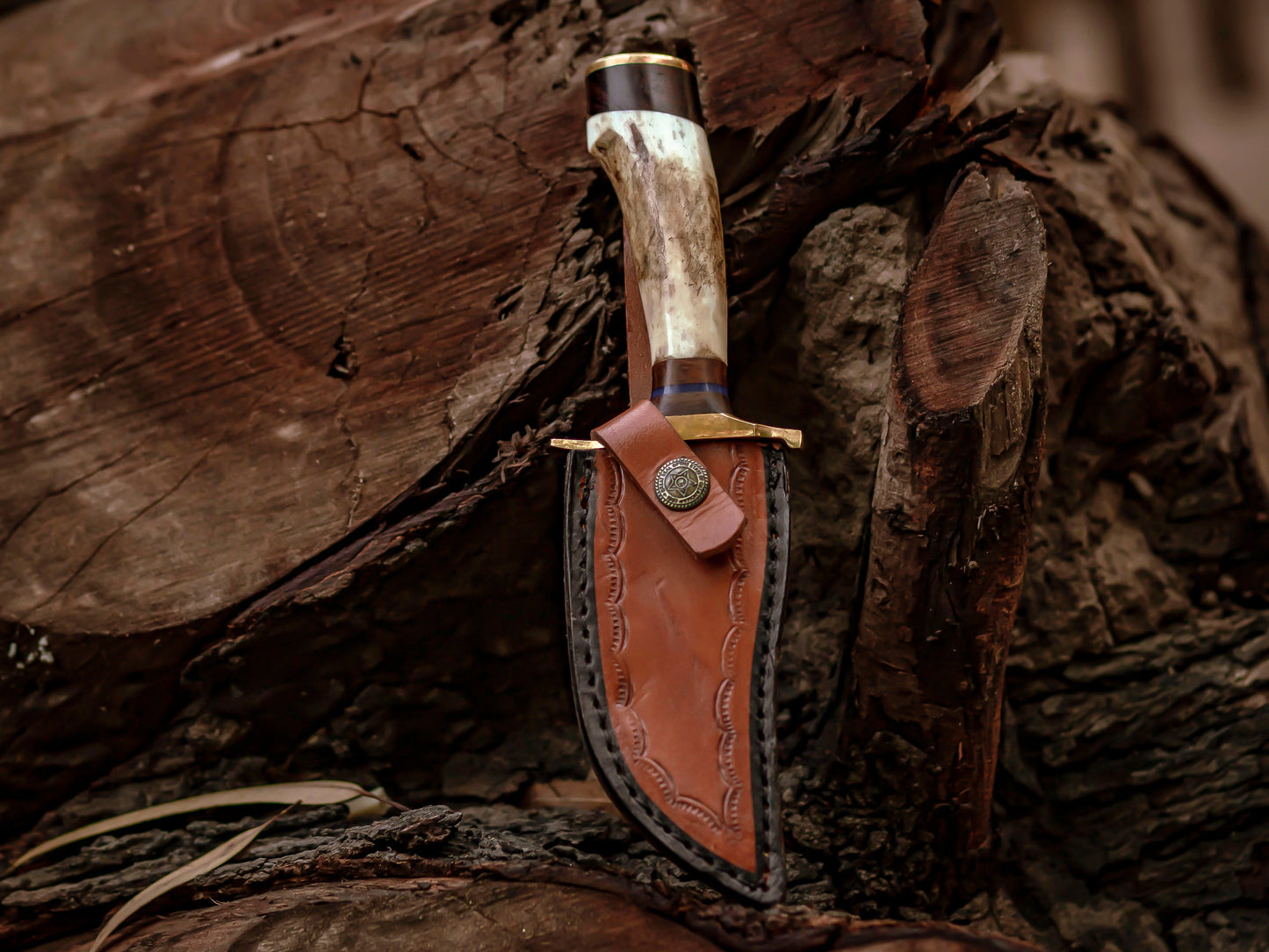 Damascus Steel Knife with Stag & Brass Guard Handle & Leather Sheath Cover