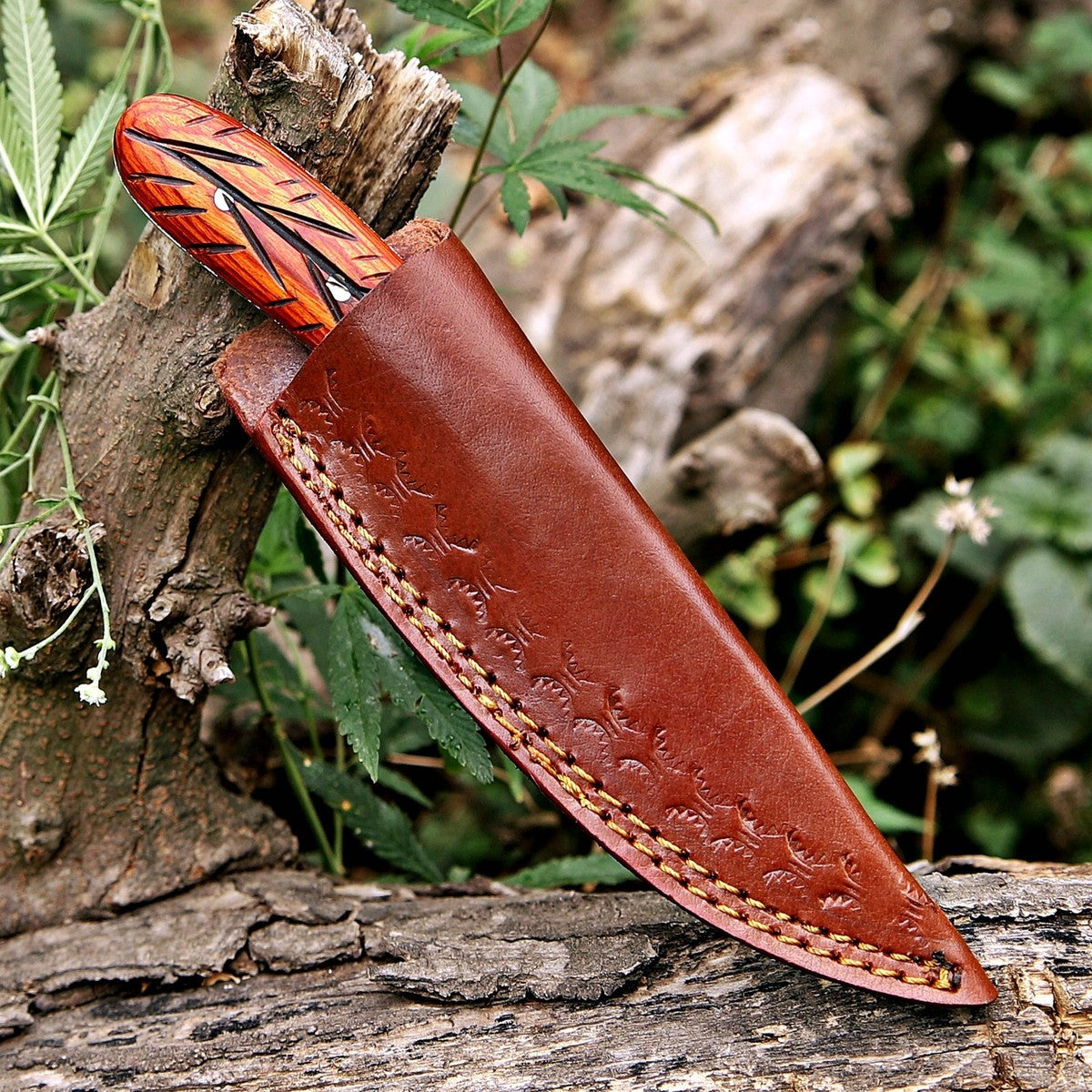 Skinner Knife 7.5" – Carved Exotic Wood Handle Full Tang | DRSKNIVES HUB