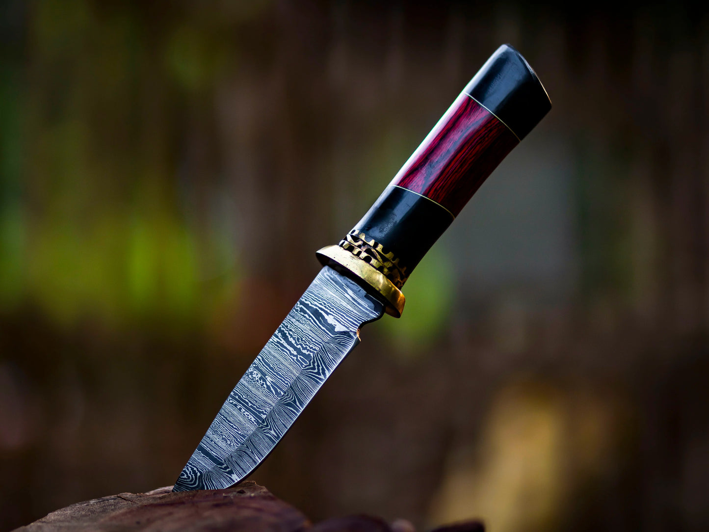 Damascus Steel Fixed Blade Knife with Ebony and Red Wood Handle
