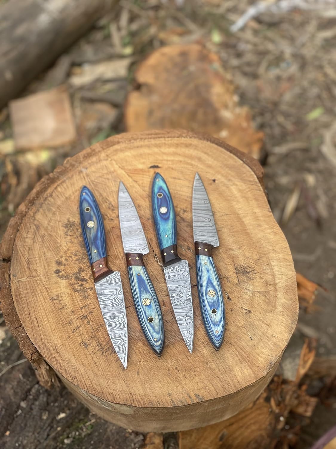 Handmade Damascus Steel Kitchen Steak Knife Set – 4-Piece Blue Wood Handle | DRSKNIVES HUB 