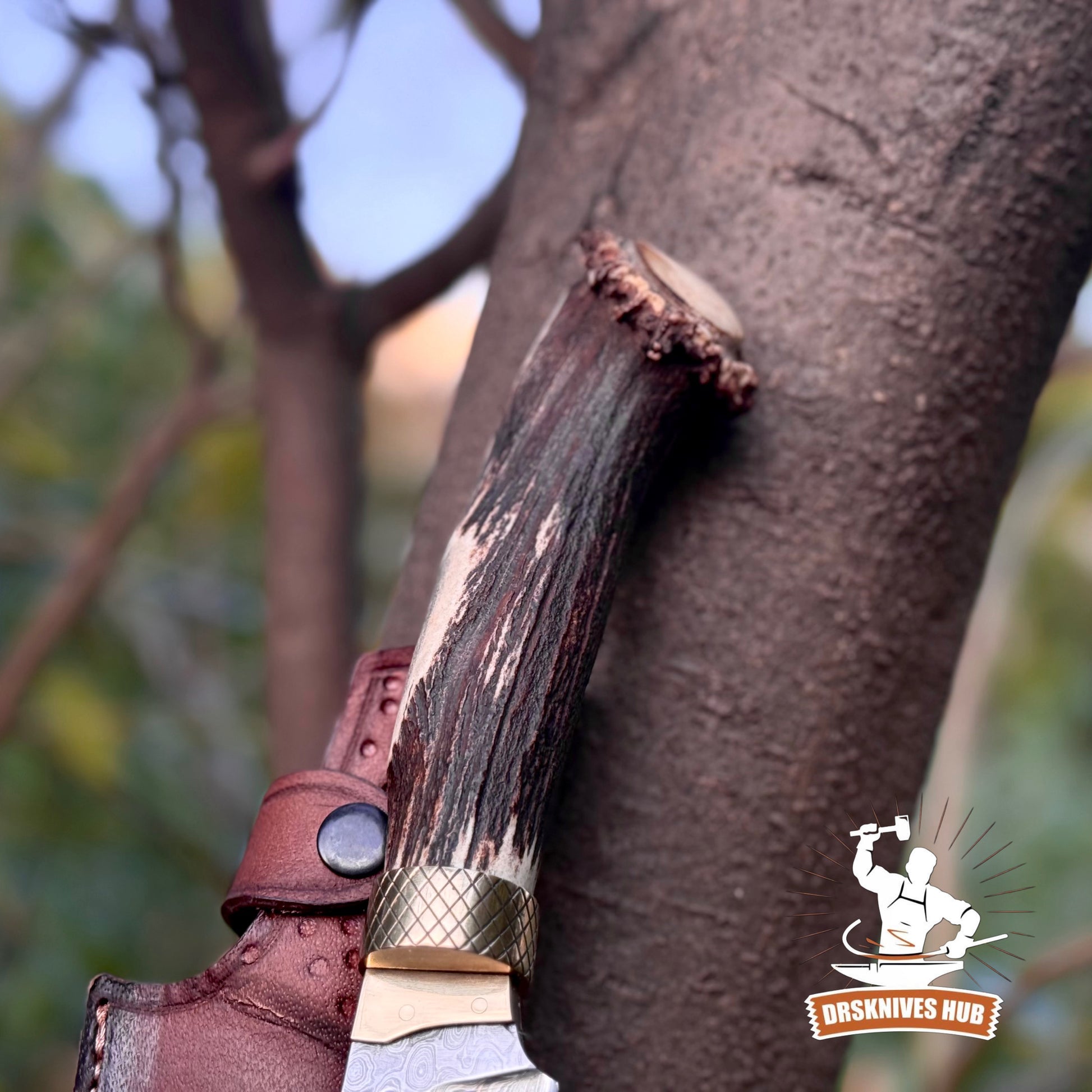 Handmade Damascus Hunting Knife | 10.5” Stag Handle Fixed Blade Knife | DRSKNIVES HUB