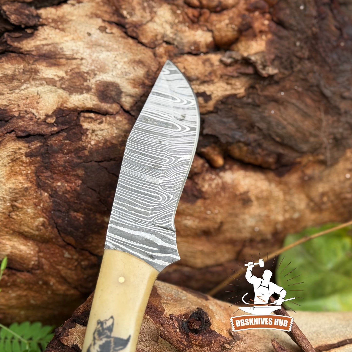 8” inches Handmade Damascus Hunting Skinner Knife Bone Handle with Bear Print | DRSKNIVES HUB