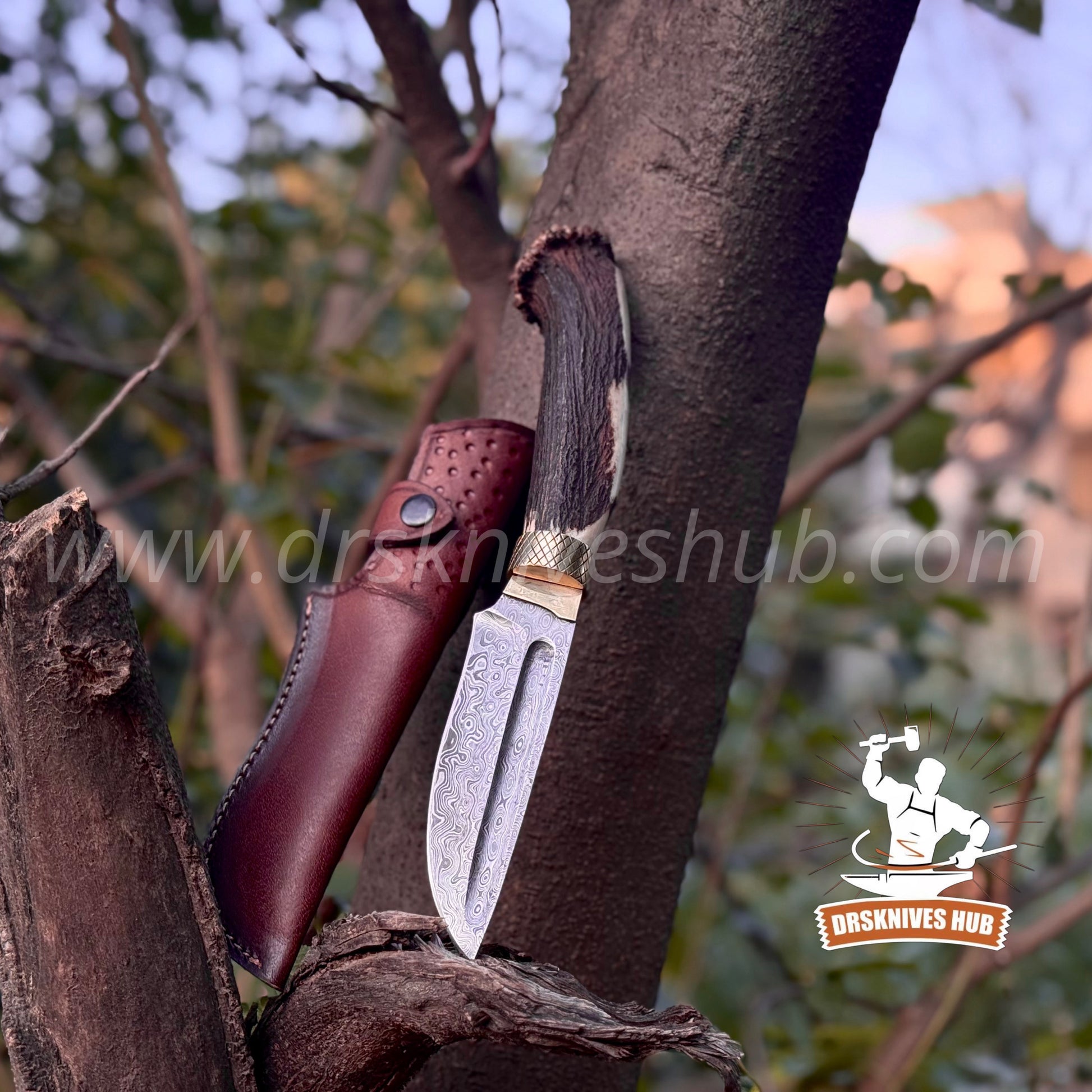 Handmade Damascus Hunting Knife | 10.5” Stag Handle Fixed Blade Knife | DRSKNIVES HUB