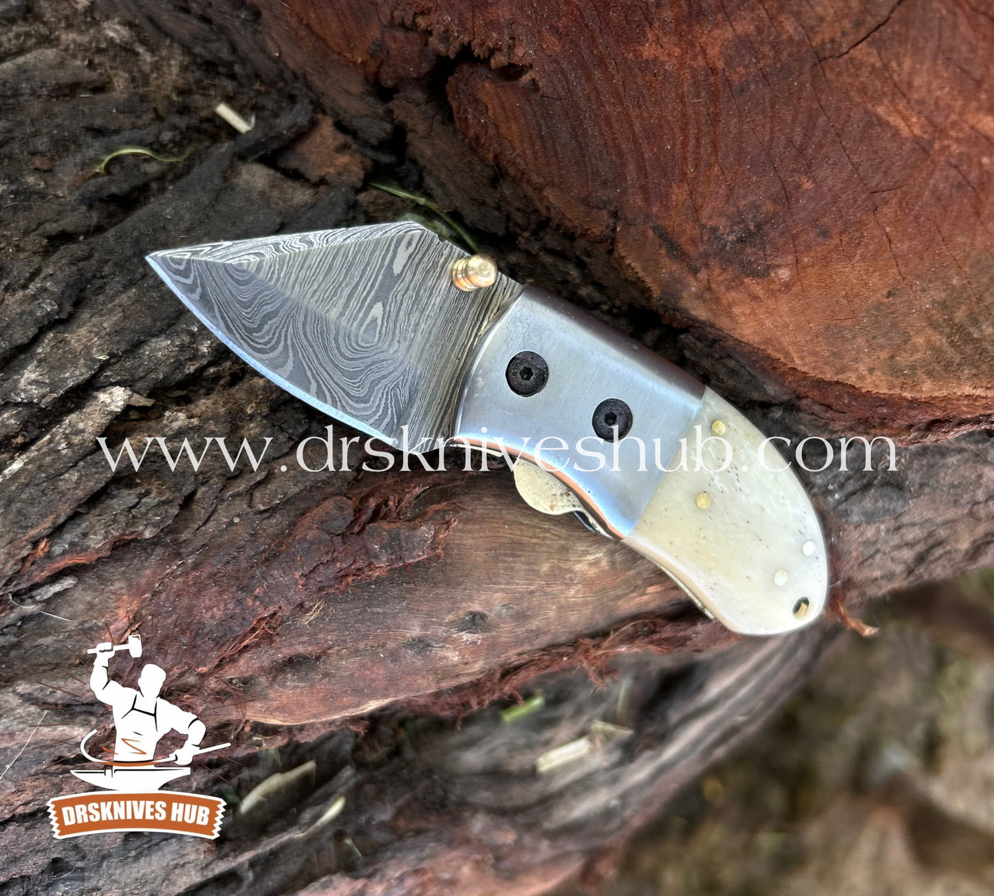 MINI FOLDING POCKET KNIFE BONE HANDLE || DRS KNIVES HUB