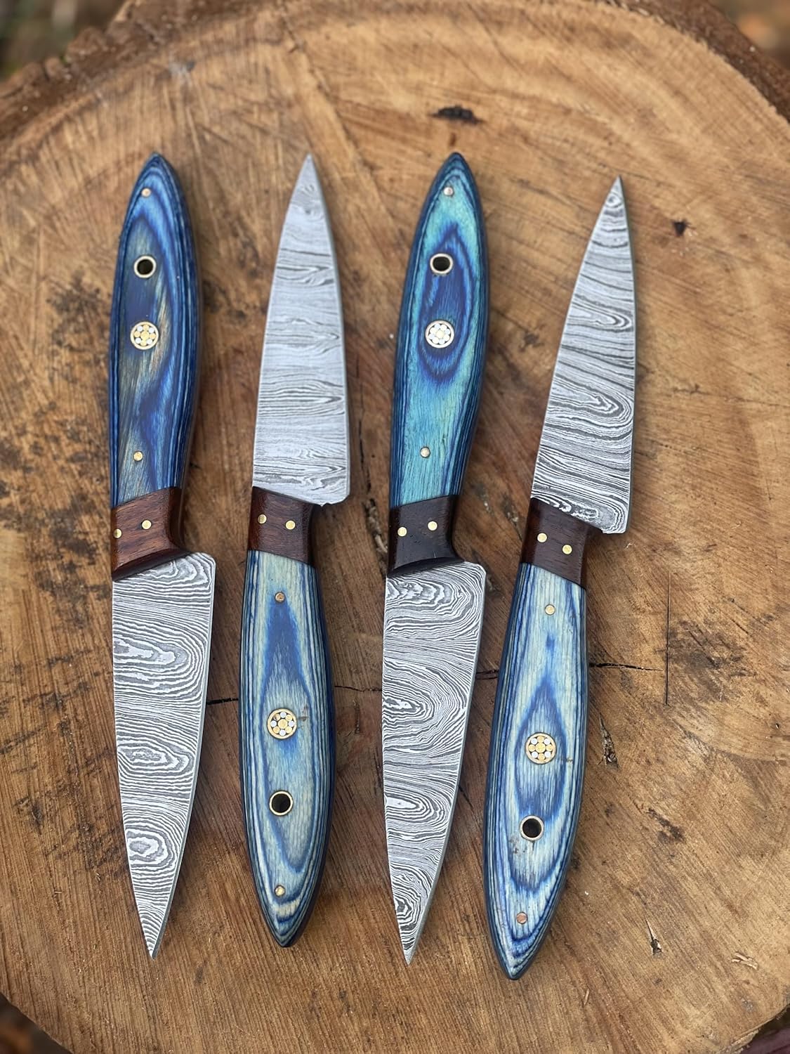 Handmade Damascus Steel Kitchen Steak Knife Set – 4-Piece Blue Wood Handle | DRSKNIVES HUB 