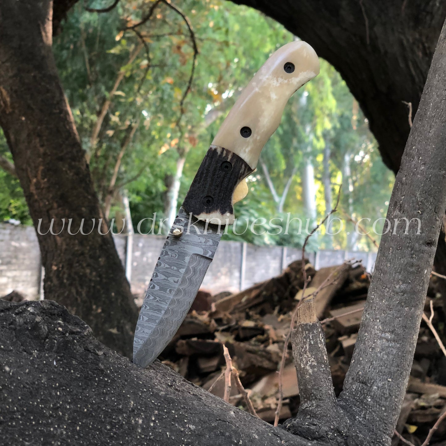 Folding Pocket Knife Hand Crafted Damascus Steel Blade Antler & Bone Handle Pocket knife