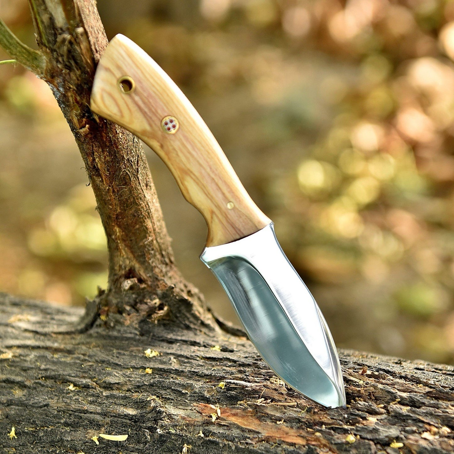 Custom Handmade Fixed Blade Skinner Knife – with Wood Handle | Tactical Hunting & EDC | DRSKNIVES HUB 