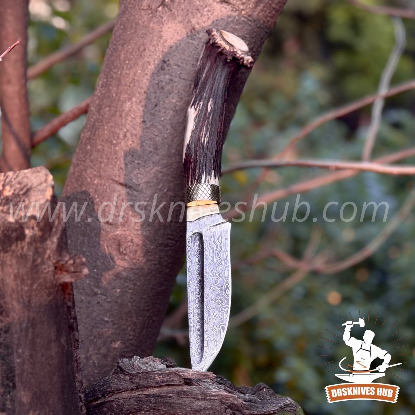 Handmade Damascus Hunting Knife | 10.5” Stag Handle Fixed Blade Knife | DRSKNIVES HUB