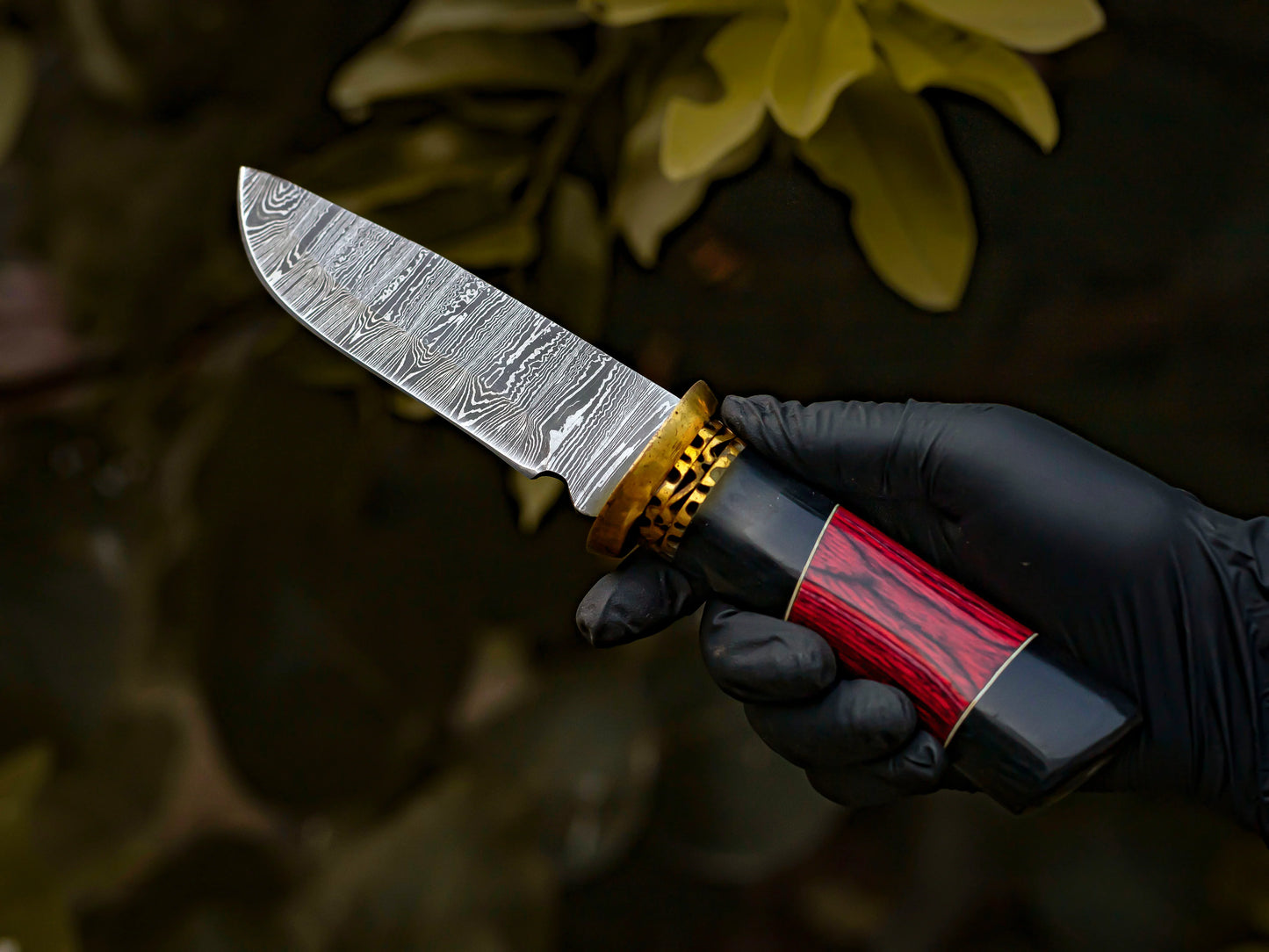 Damascus Steel Fixed Blade Knife with Ebony and Red Wood Handle