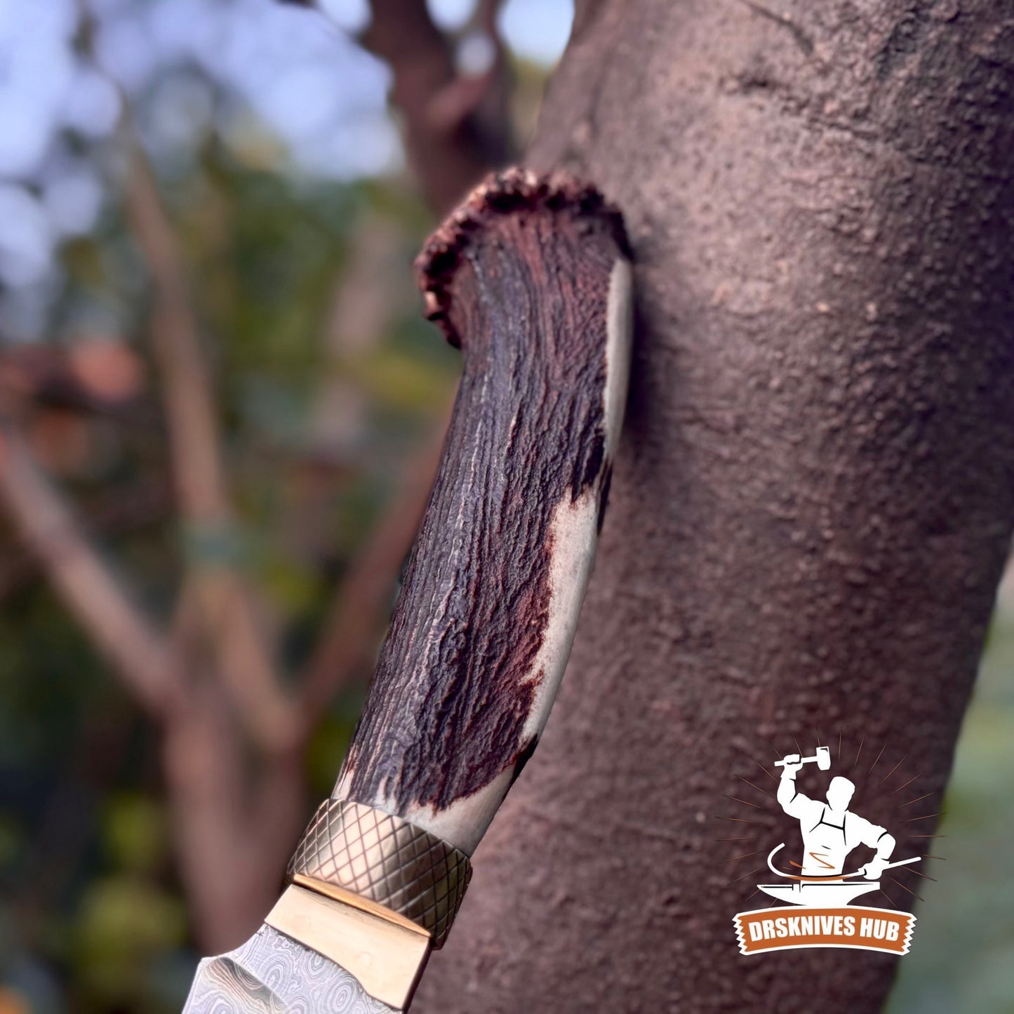Handmade Damascus Hunting Knife | 10.5” Stag Handle Fixed Blade Knife | DRSKNIVES HUB