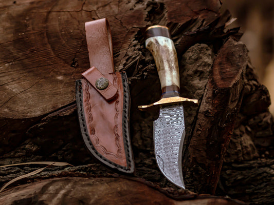 Damascus Steel Knife with Stag & Brass Guard Handle & Leather Sheath Cover