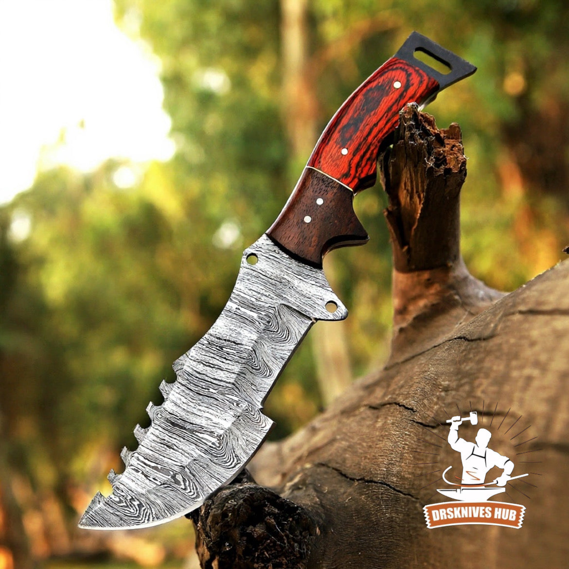 Damascus Tracker Knife 10" – Pakka Wood & Rosewood Handle | DRSKNIVES HUB
