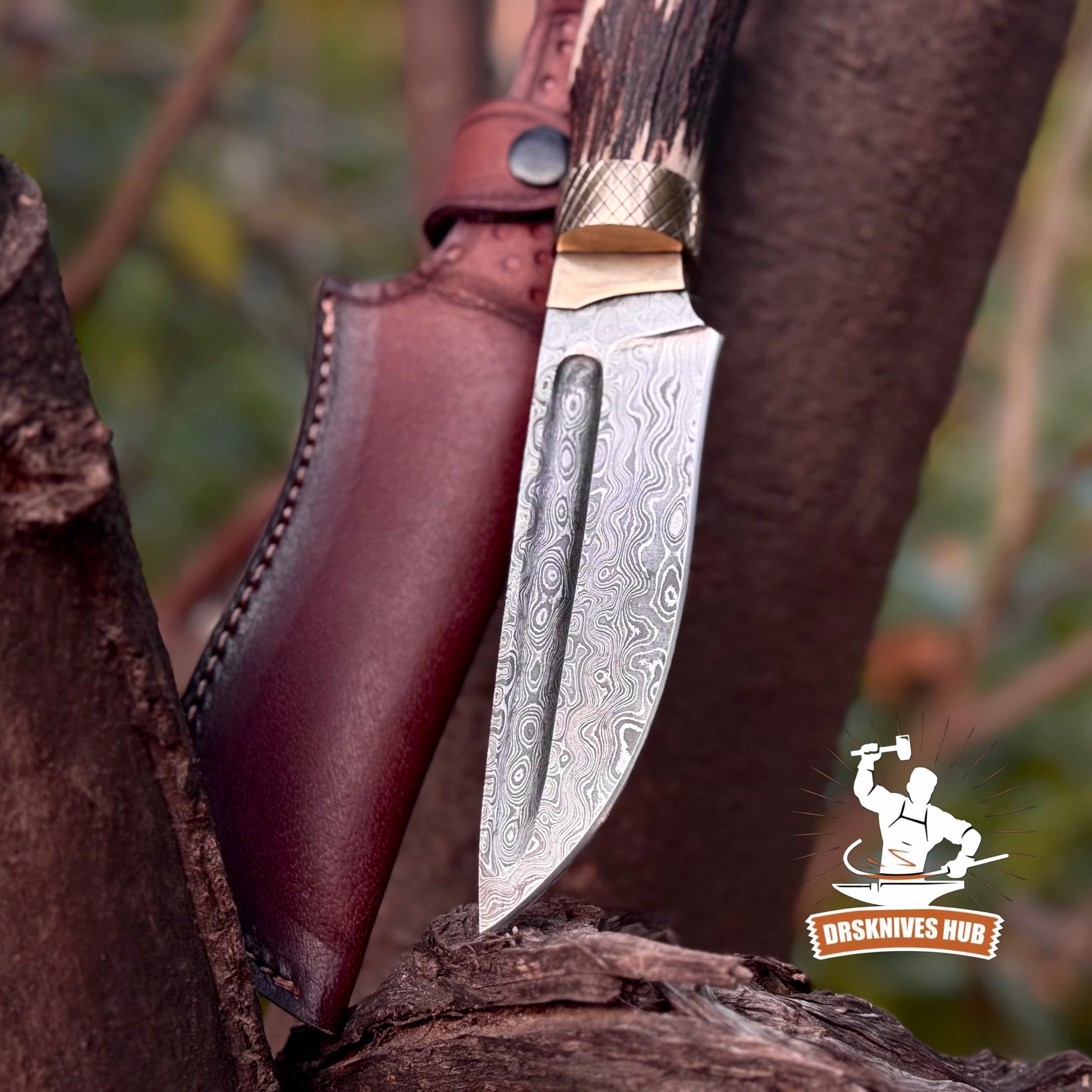 Handmade Damascus Hunting Knife | 10.5” Stag Handle Fixed Blade Knife | DRSKNIVES HUB