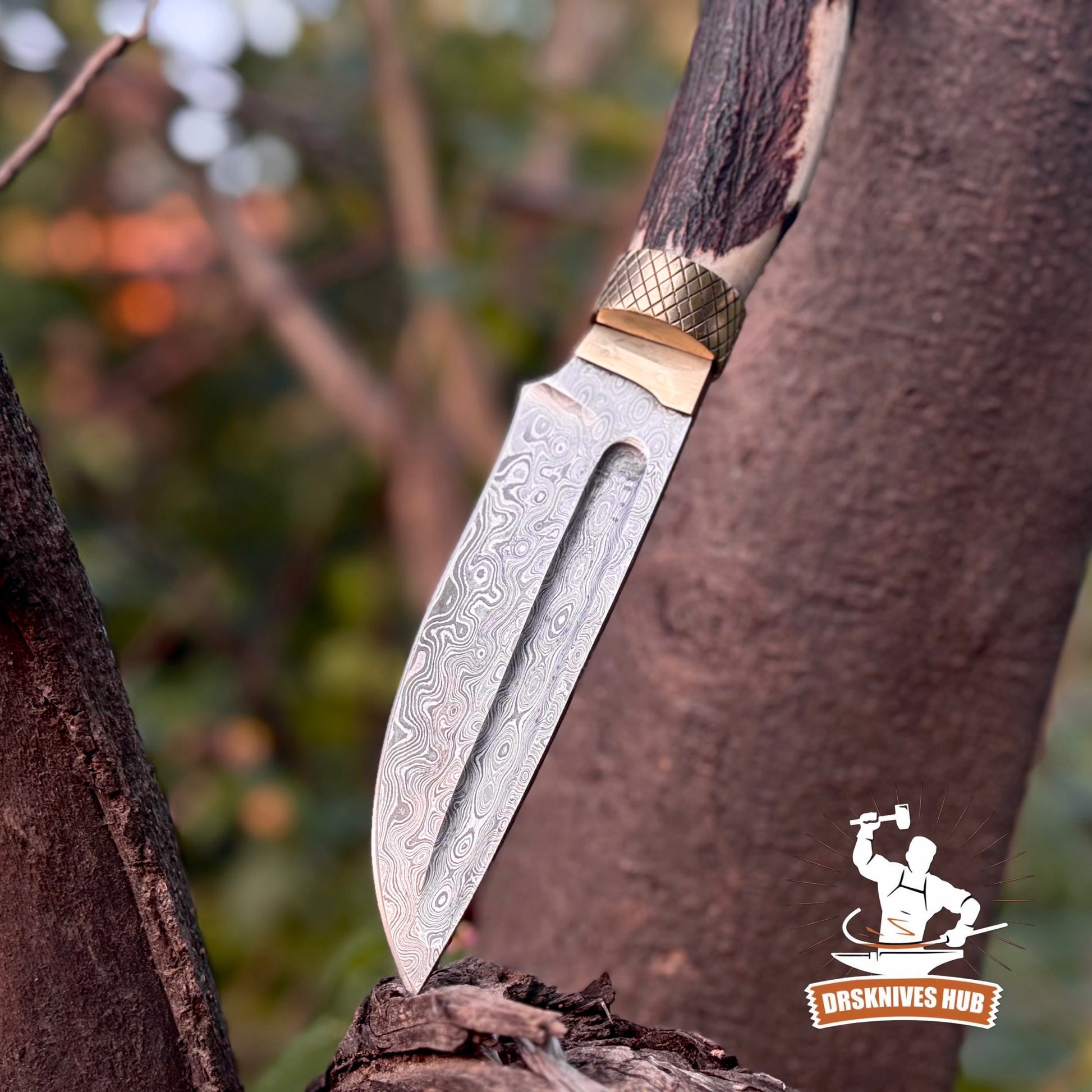 Handmade Damascus Hunting Knife | 10.5” Stag Handle Fixed Blade Knife | DRSKNIVES HUB
