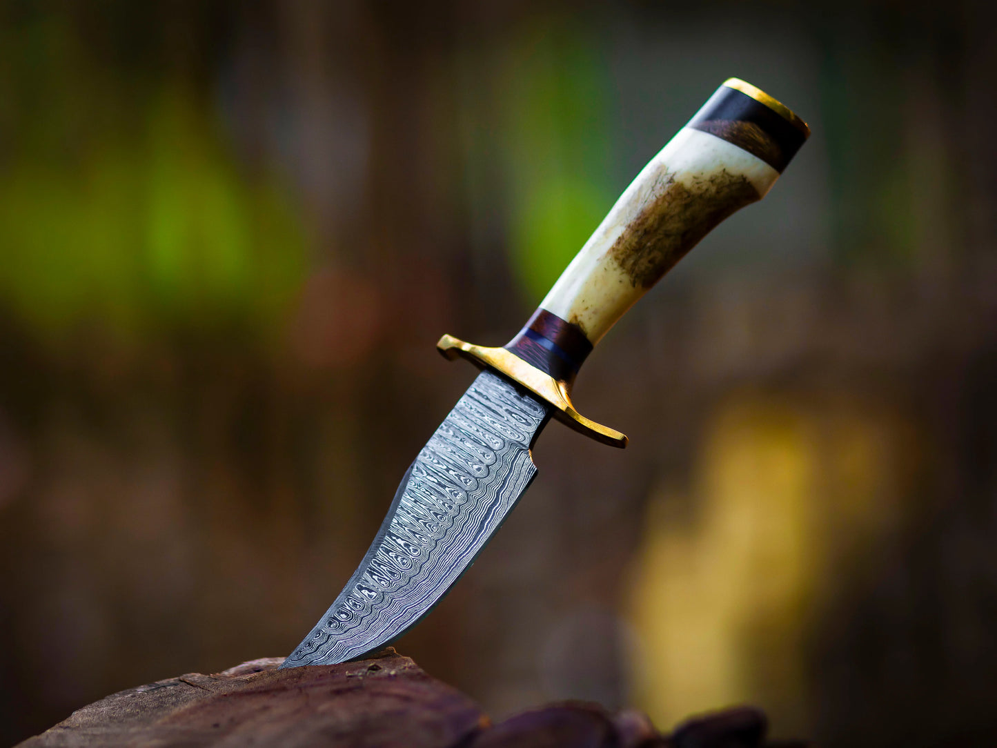 Damascus Steel Knife with Stag & Brass Guard Handle & Leather Sheath Cover