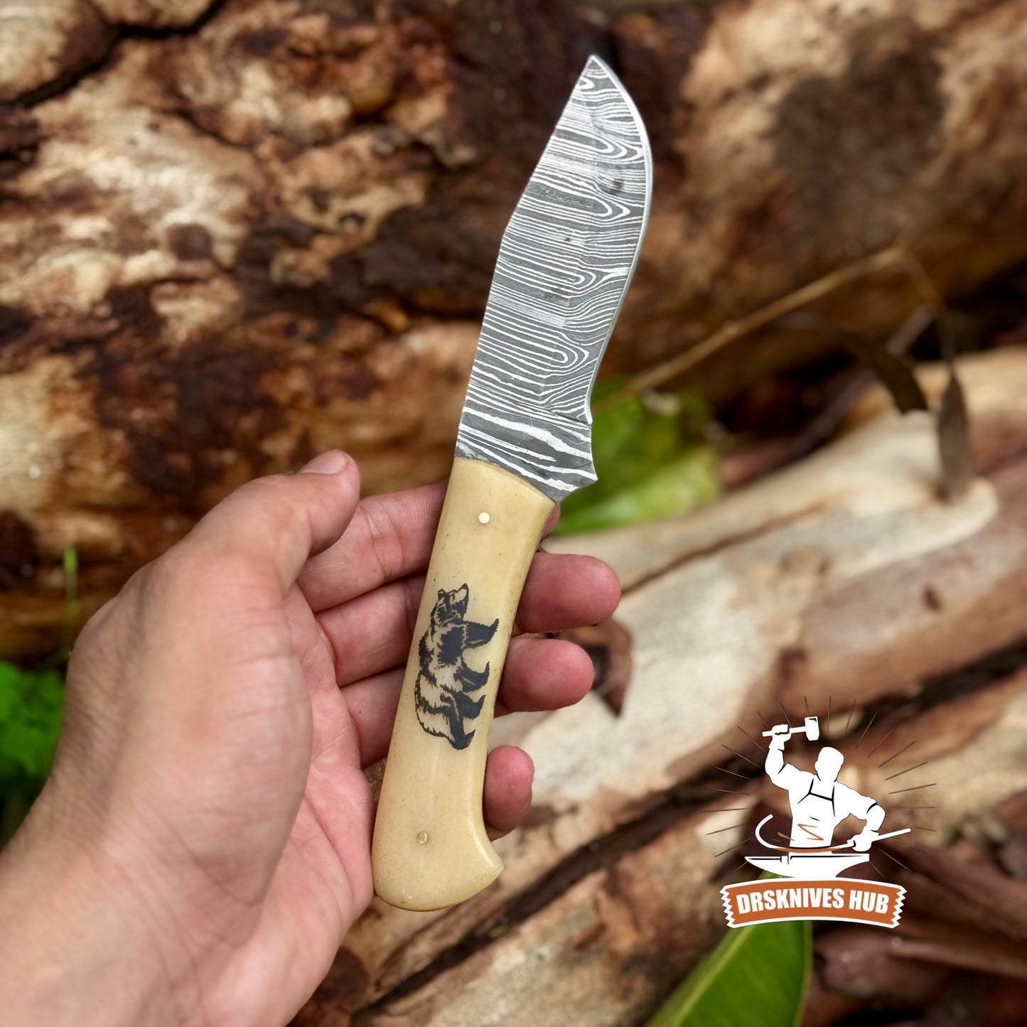 8” inches Handmade Damascus Hunting Skinner Knife Bone Handle with Bear Print | DRSKNIVES HUB