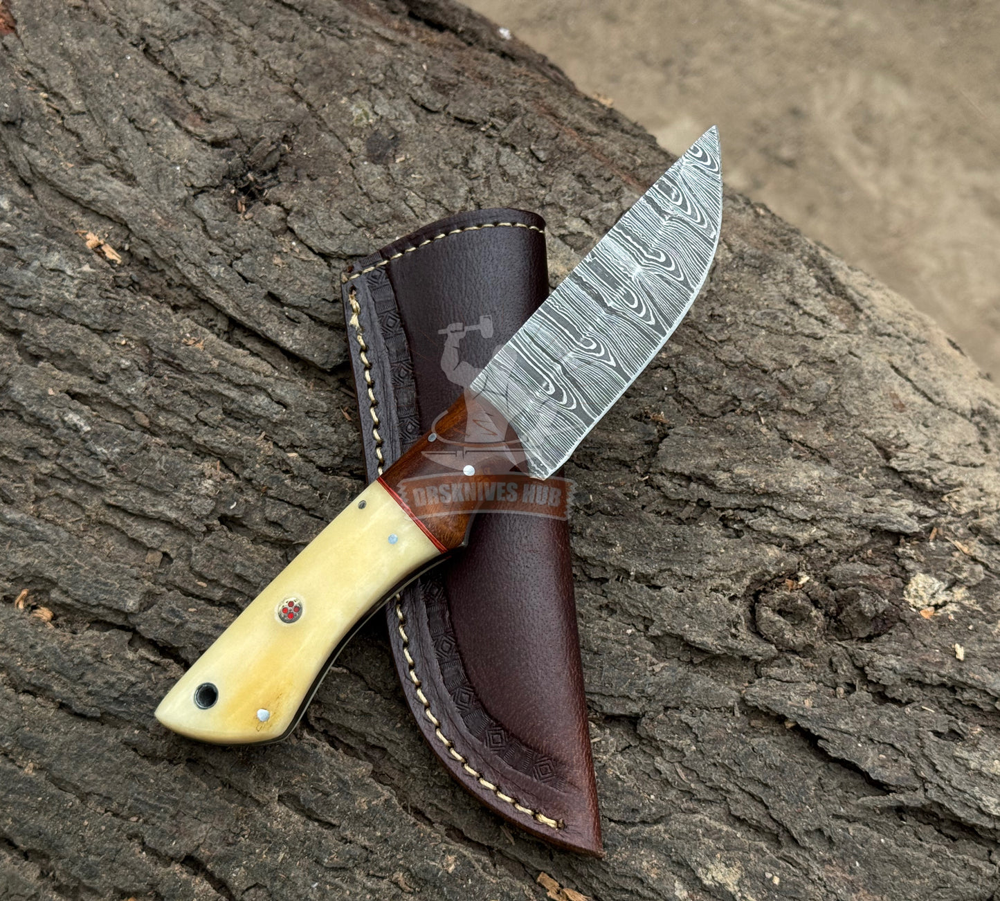 Damascus Belt Knife 9" – Bone & Wood Handle with Leather Sheath | DRSKNIVES HUB