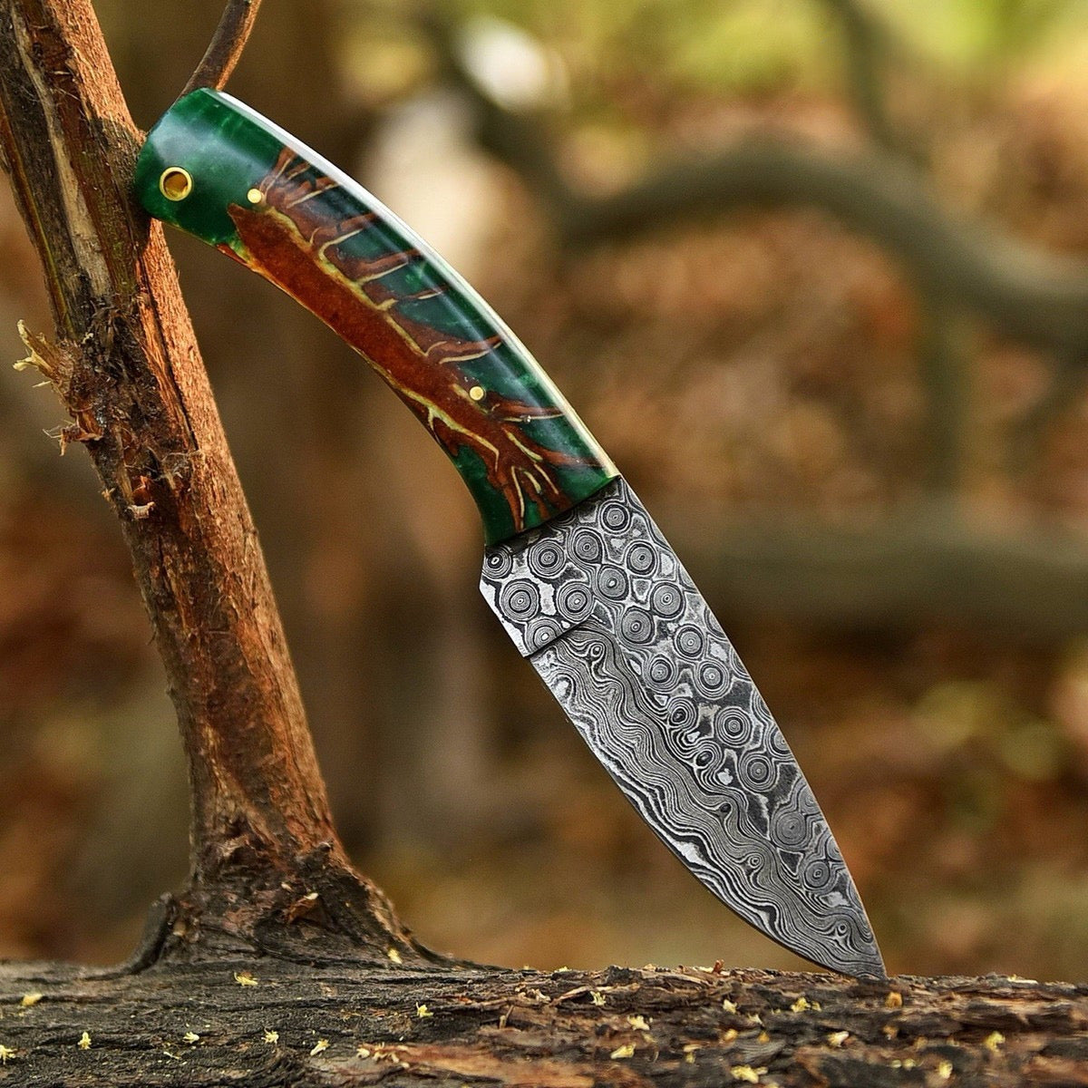 Custom Handmade Damascus Steel Skinning Knife – Fixed Blade with Pinecone Handle | DRSKNIVES HUB