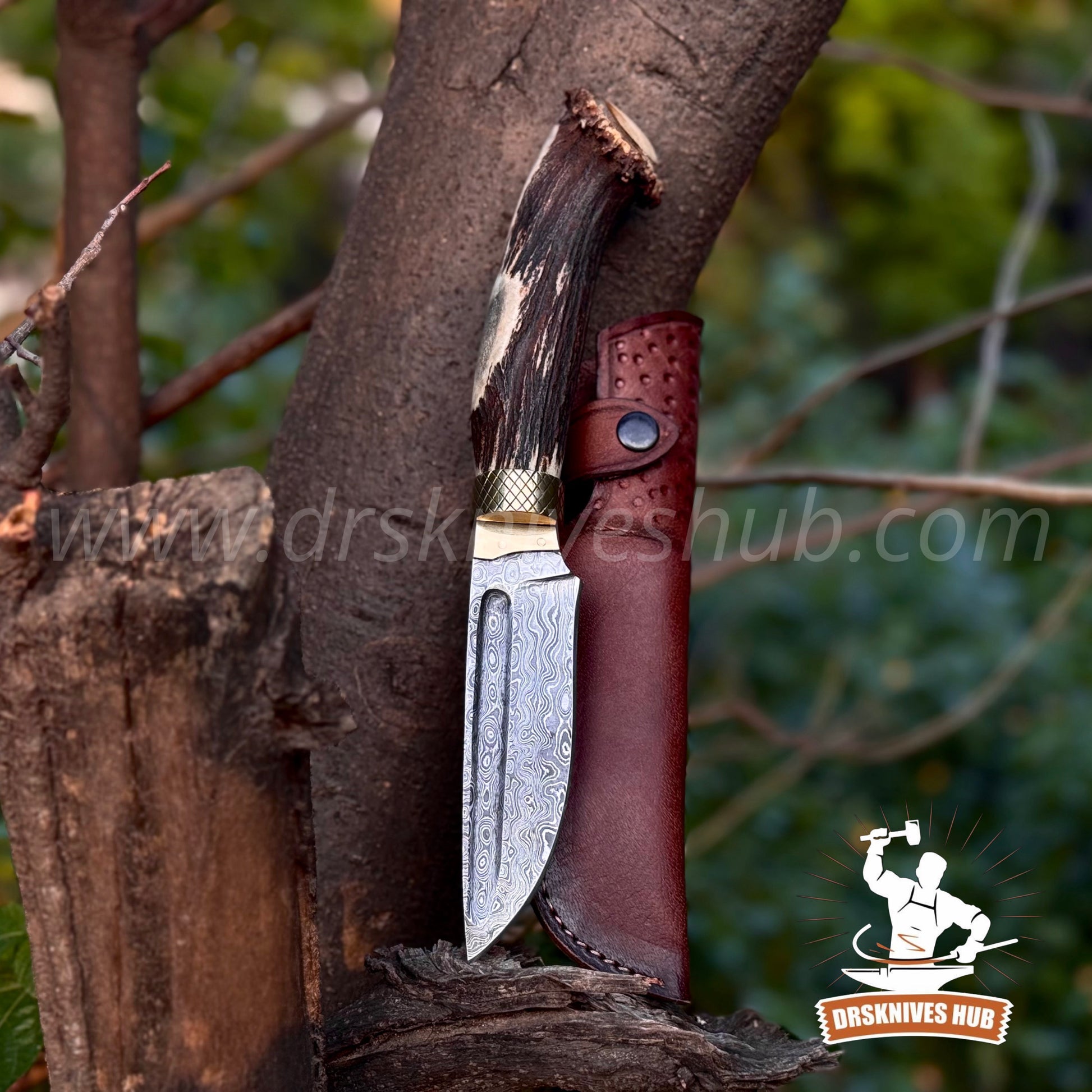 Handmade Damascus Hunting Knife | 10.5” Stag Handle Fixed Blade Knife | DRSKNIVES HUB