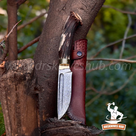 Handmade Damascus Hunting Knife | 10.5” Stag Handle Fixed Blade Knife | DRSKNIVES HUB