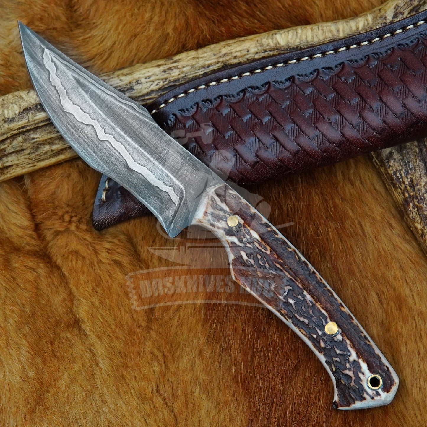Senmai Blade Knife 10" – Stag Horn Handle | DRSKNIVES HUB
