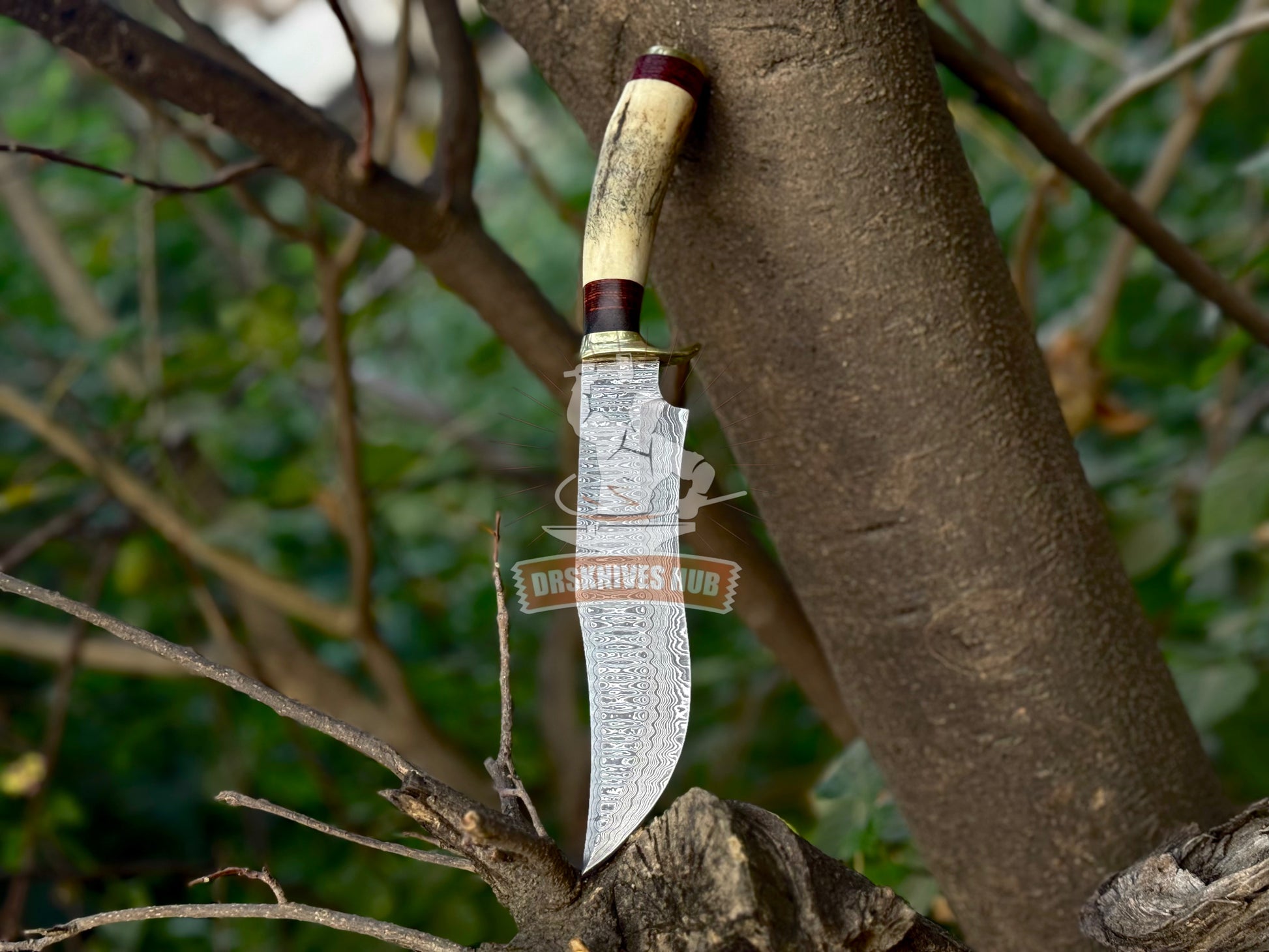 Handmade Damascus Hunting Knife with Stag Antler Handle Custom Bowie Knife | DRSKNIVES HUB 
