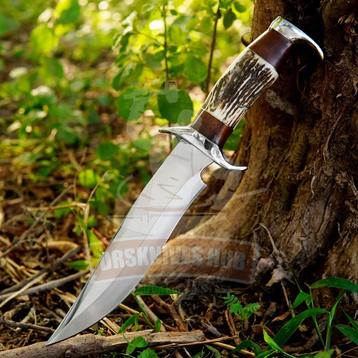 D2 steel Bowie hunting knife with rosewood and stag antler handle