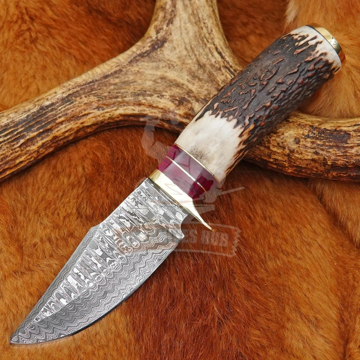 Hunting_knife_Stag_Handle - DRSKNIVES HUB