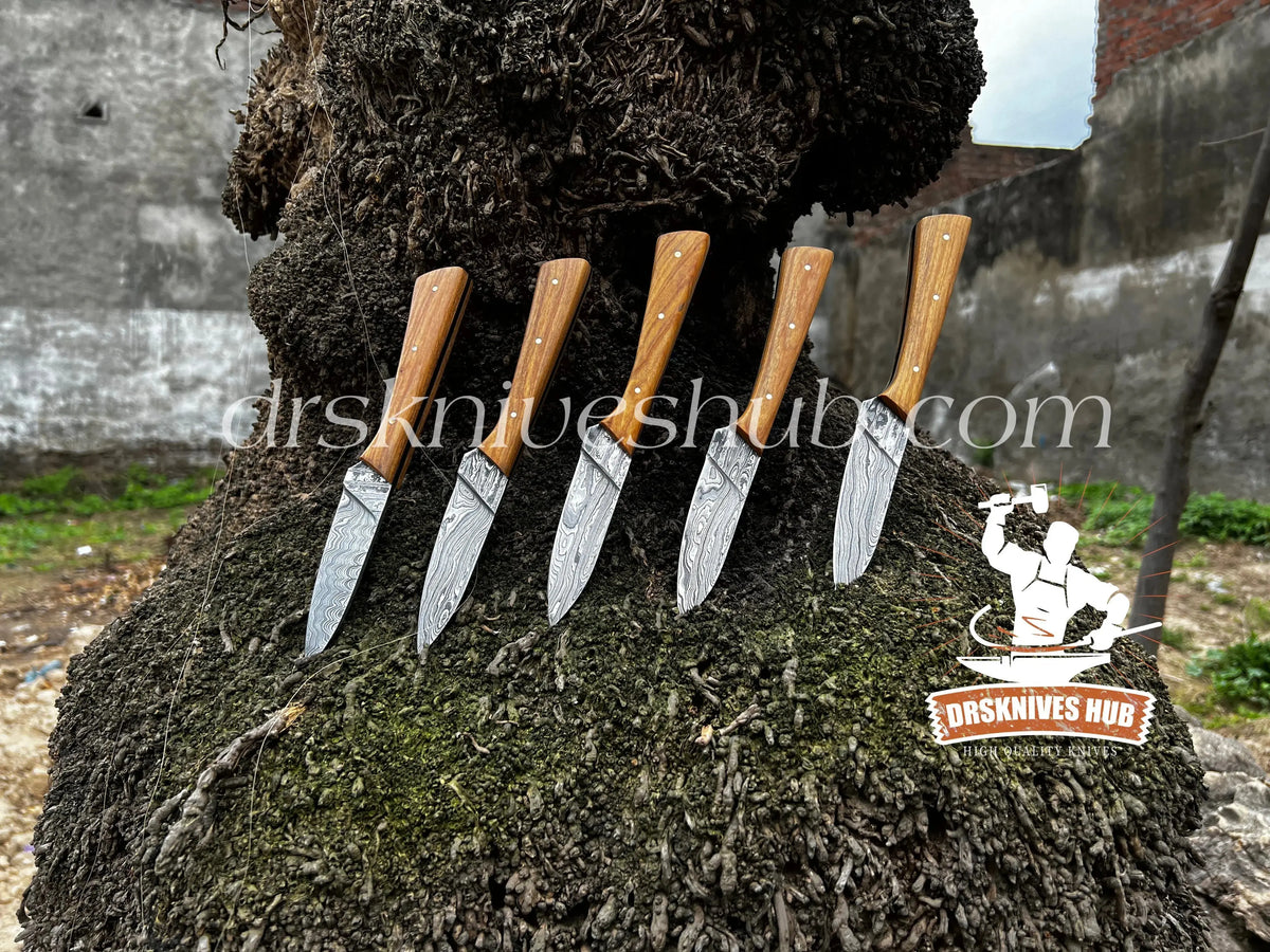 Five-piece Damascus steak knife set with leather roll